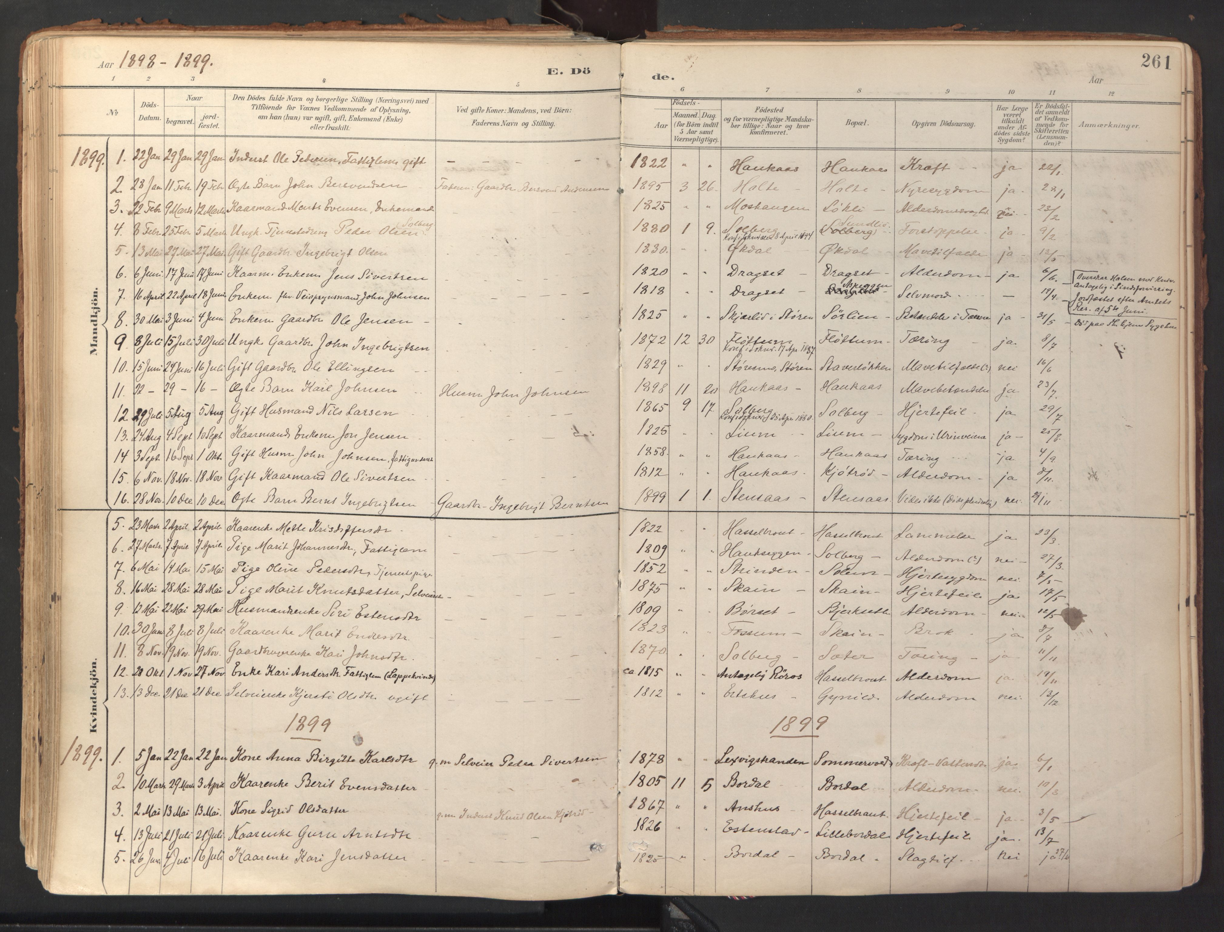 Ministerialprotokoller, klokkerbøker og fødselsregistre - Sør-Trøndelag, SAT/A-1456/689/L1041: Parish register (official) no. 689A06, 1891-1923, p. 261
