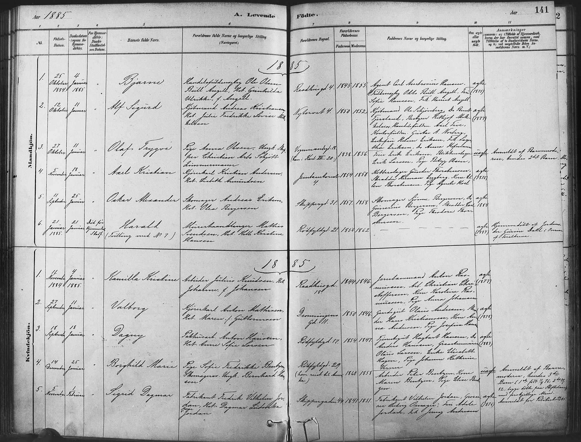 Oslo domkirke Kirkebøker, SAO/A-10752/F/Fa/L0029: Parish register (official) no. 29, 1879-1892, p. 141