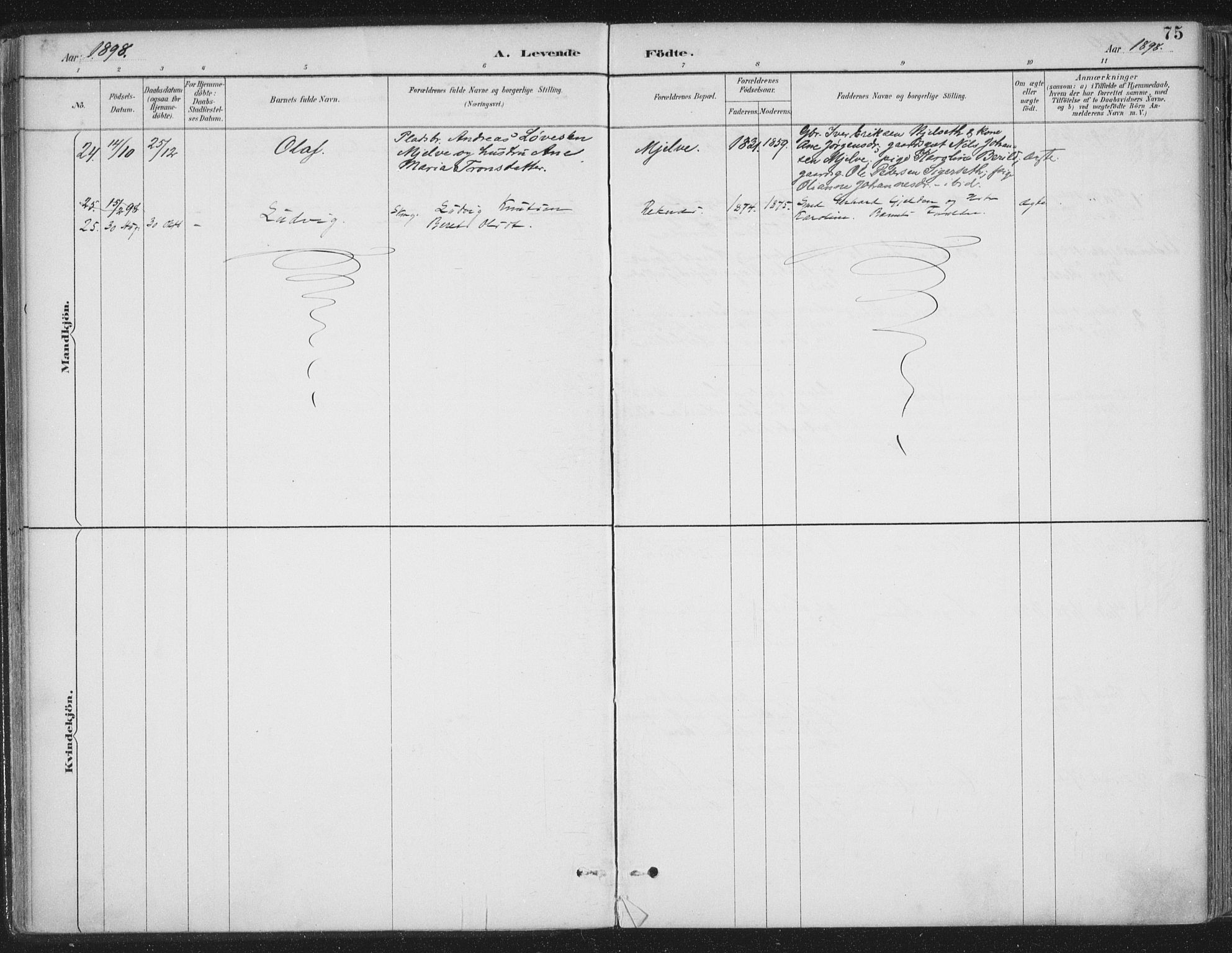 Ministerialprotokoller, klokkerbøker og fødselsregistre - Møre og Romsdal, AV/SAT-A-1454/555/L0658: Parish register (official) no. 555A09, 1887-1917, p. 75