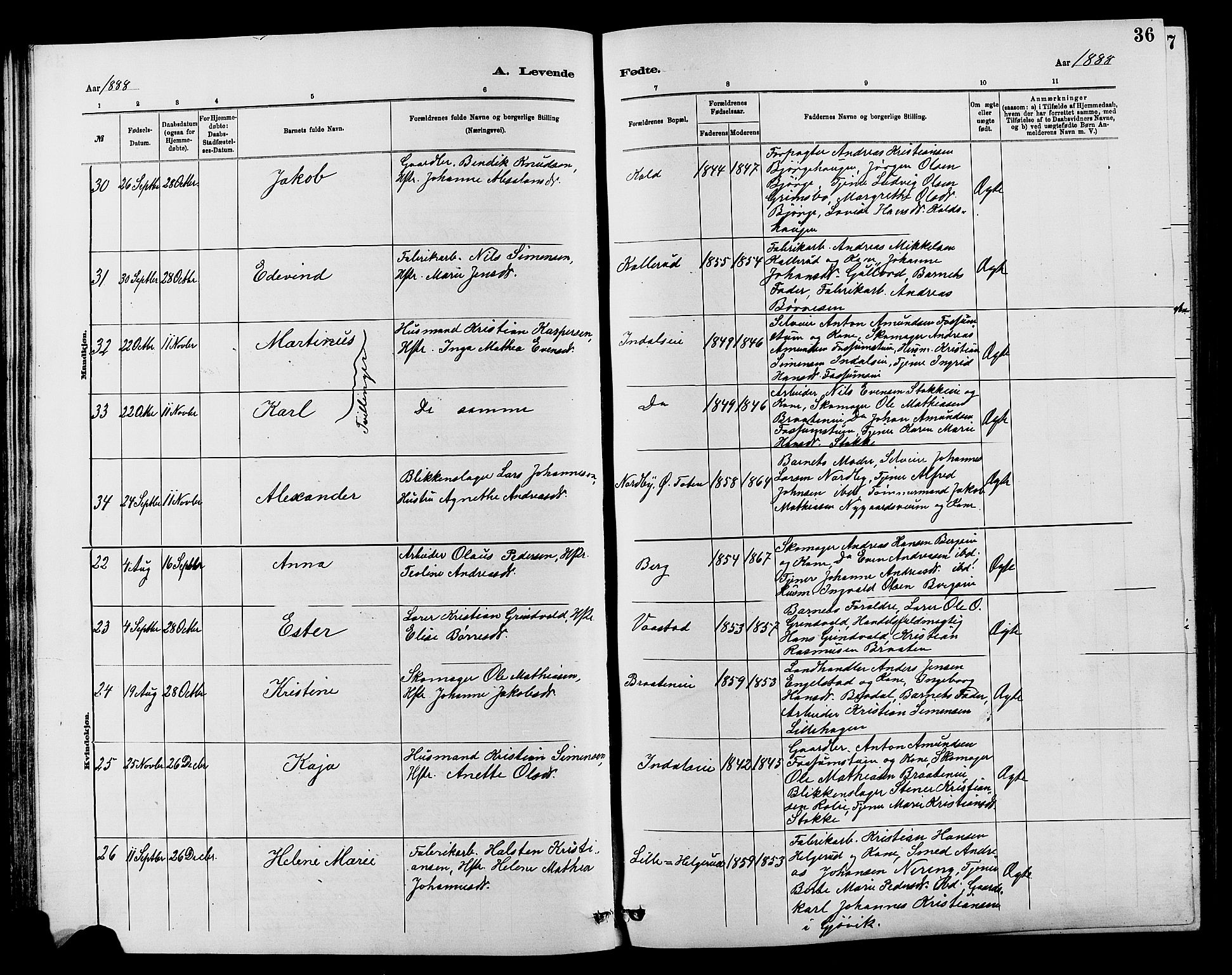 Vardal prestekontor, SAH/PREST-100/H/Ha/Hab/L0007: Parish register (copy) no. 7 /1, 1881-1895, p. 36