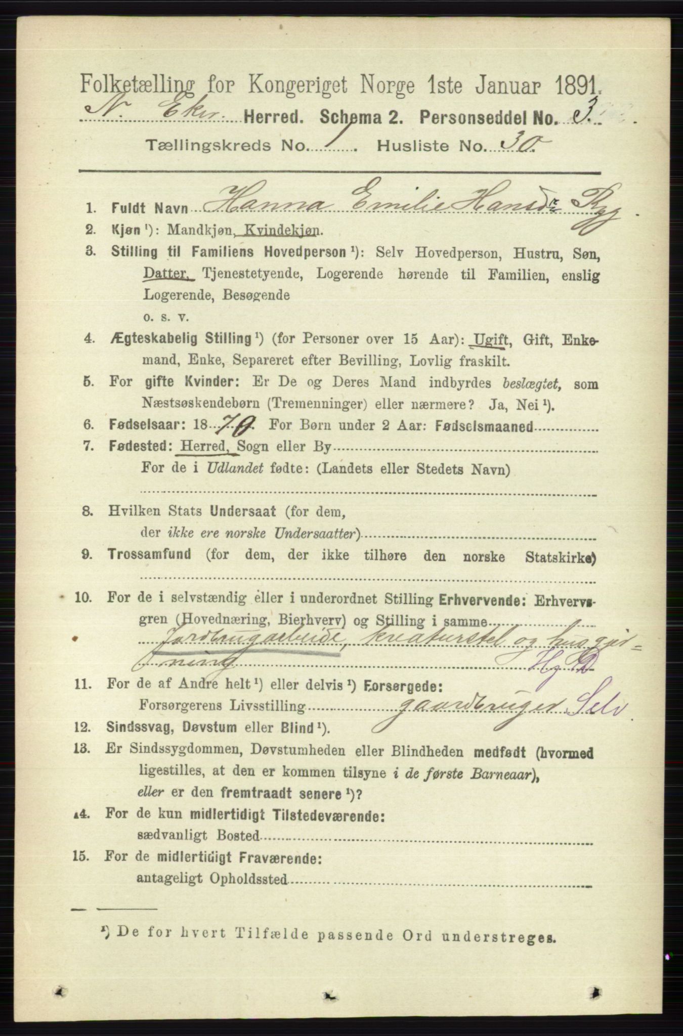 RA, 1891 census for 0625 Nedre Eiker, 1891, p. 244