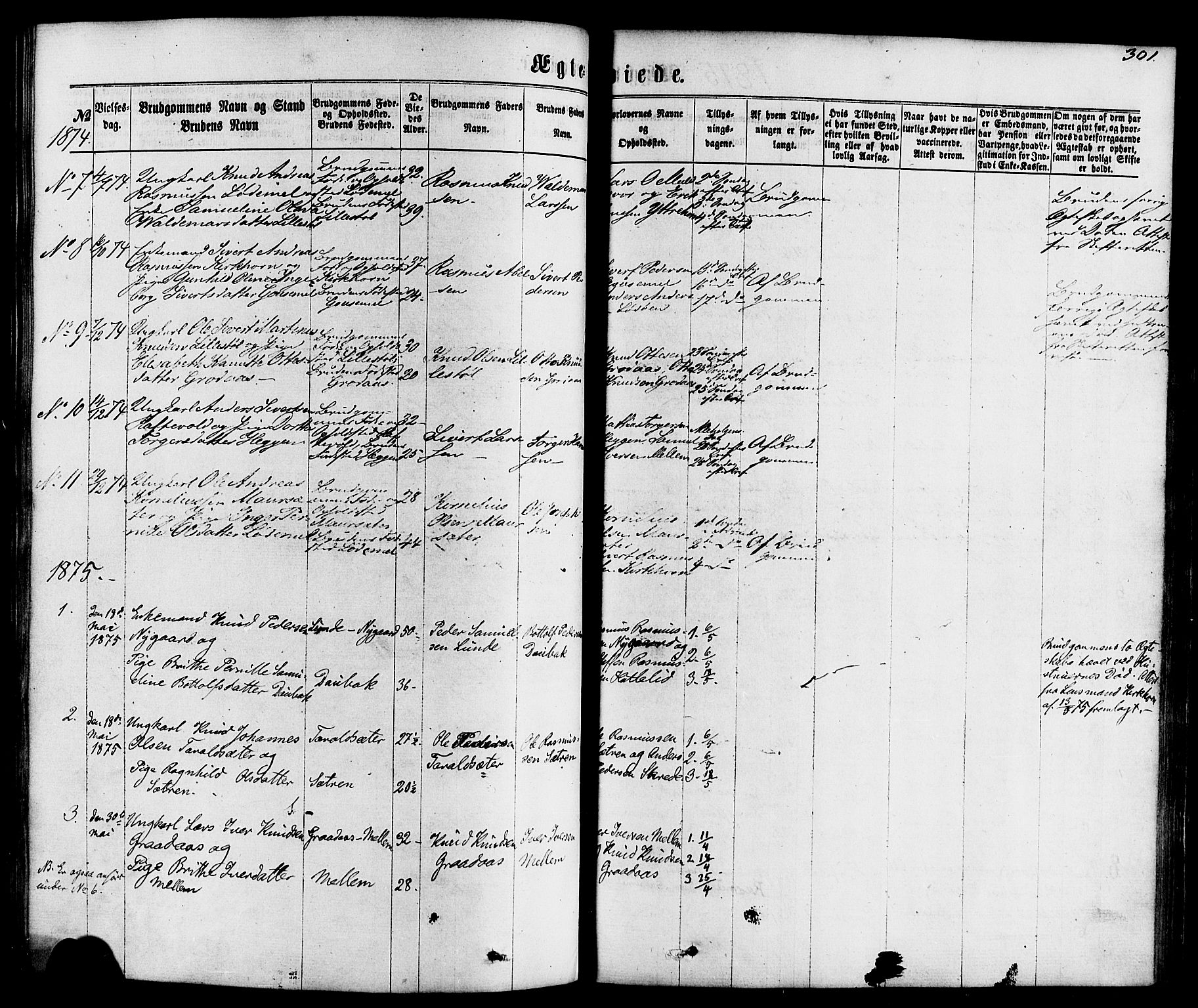 Hornindal sokneprestembete, SAB/A-82401/H/Haa/Haaa/L0002: Parish register (official) no. A 2, 1867-1884, p. 301