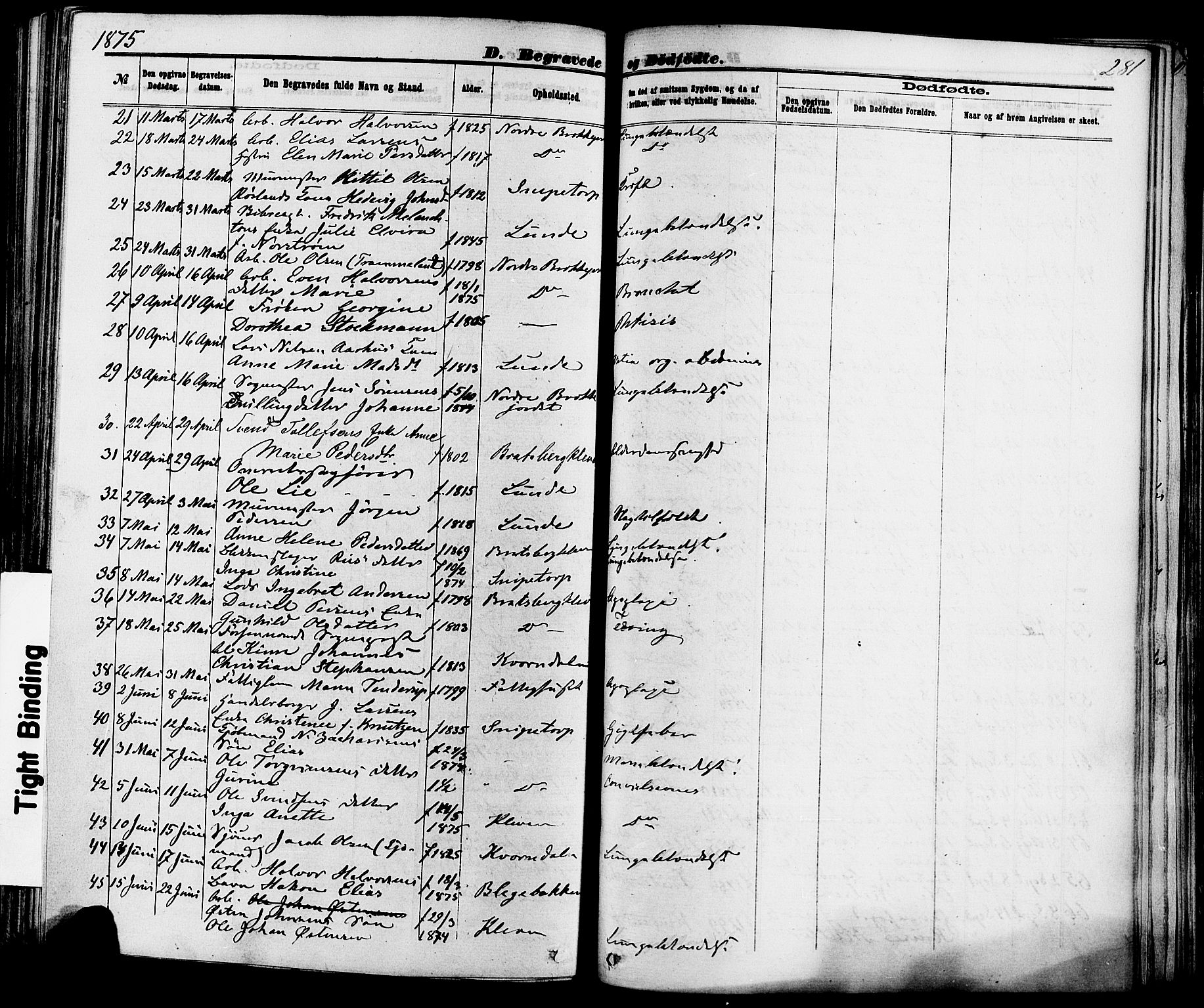 Skien kirkebøker, SAKO/A-302/F/Fa/L0008: Parish register (official) no. 8, 1866-1877, p. 281