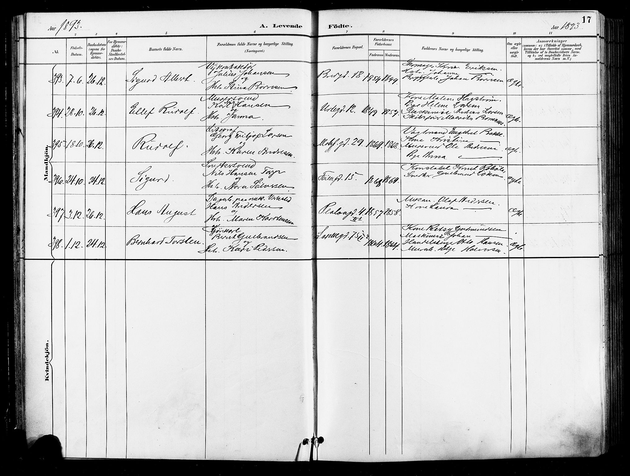 Grønland prestekontor Kirkebøker, AV/SAO-A-10848/F/Fa/L0012: Parish register (official) no. 12, 1893-1900, p. 17