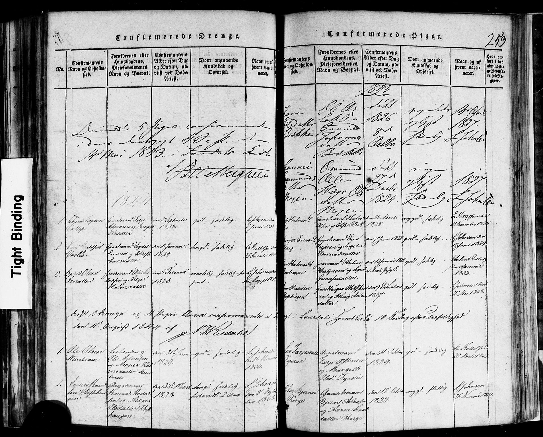 Rauland kirkebøker, AV/SAKO-A-292/F/Fa/L0002: Parish register (official) no. I 2, 1815-1860, p. 253