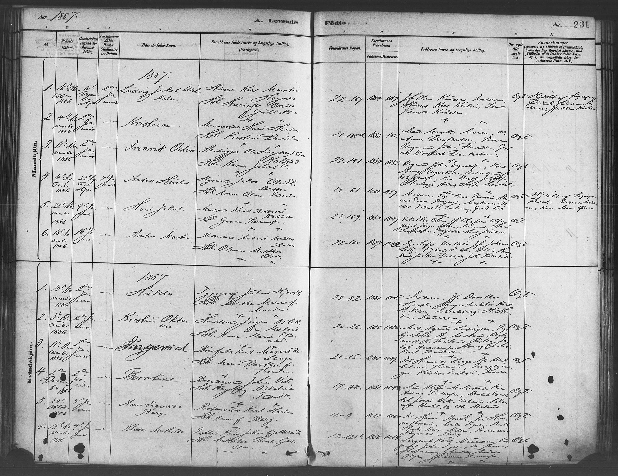 Korskirken sokneprestembete, SAB/A-76101/H/Haa/L0021: Parish register (official) no. B 7, 1878-1889, p. 231