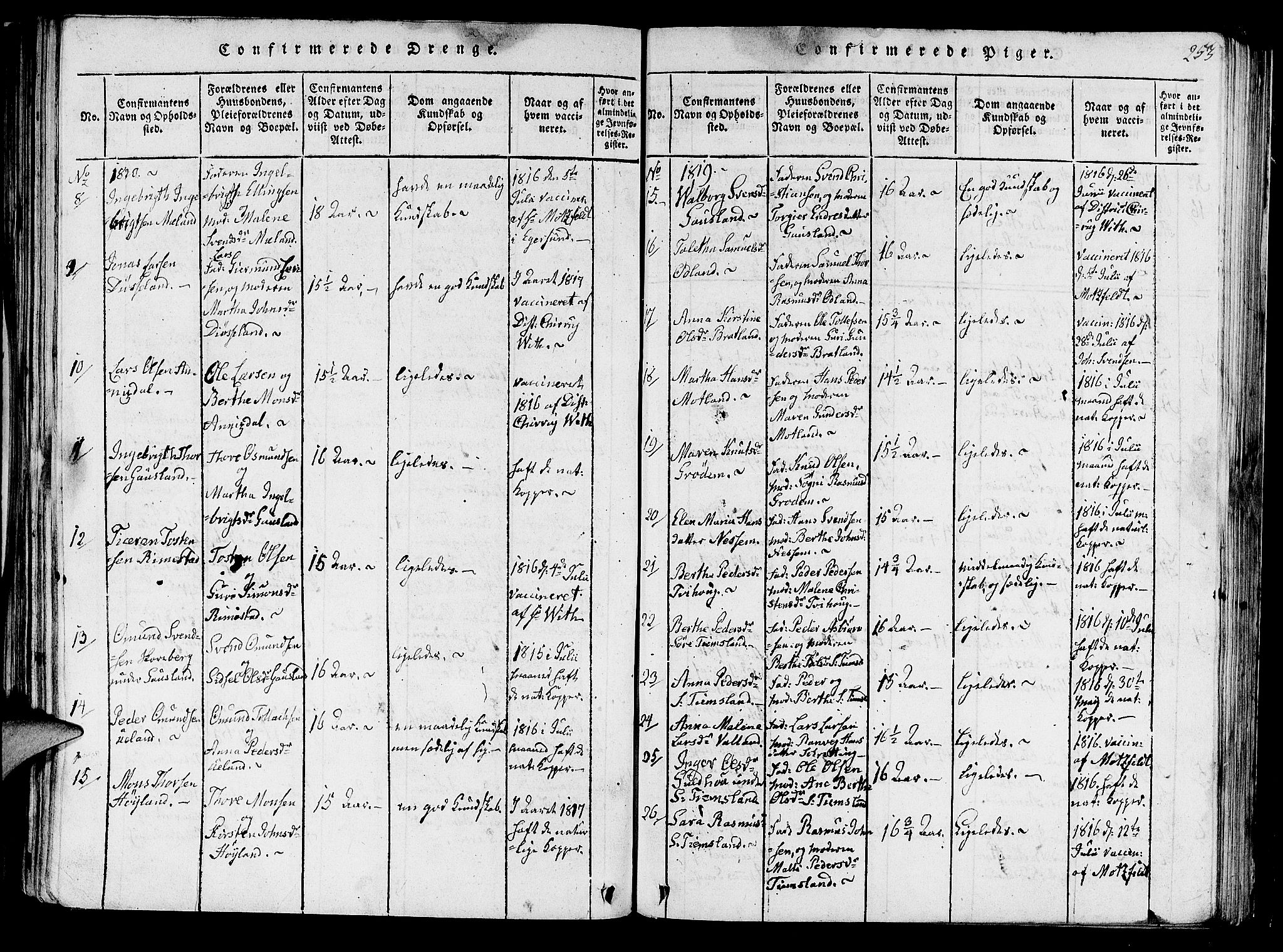 Hå sokneprestkontor, SAST/A-101801/001/30BA/L0003: Parish register (official) no. A 3, 1815-1825, p. 253