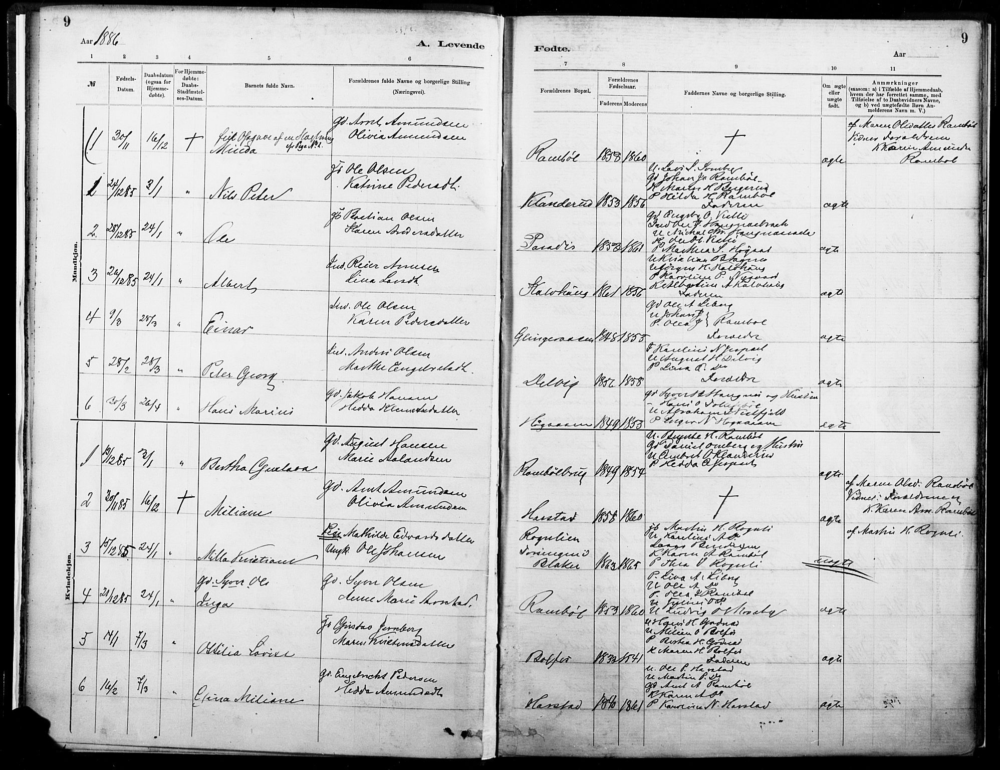 Eidskog prestekontor, SAH/PREST-026/H/Ha/Haa/L0004: Parish register (official) no. 4, 1884-1897, p. 9