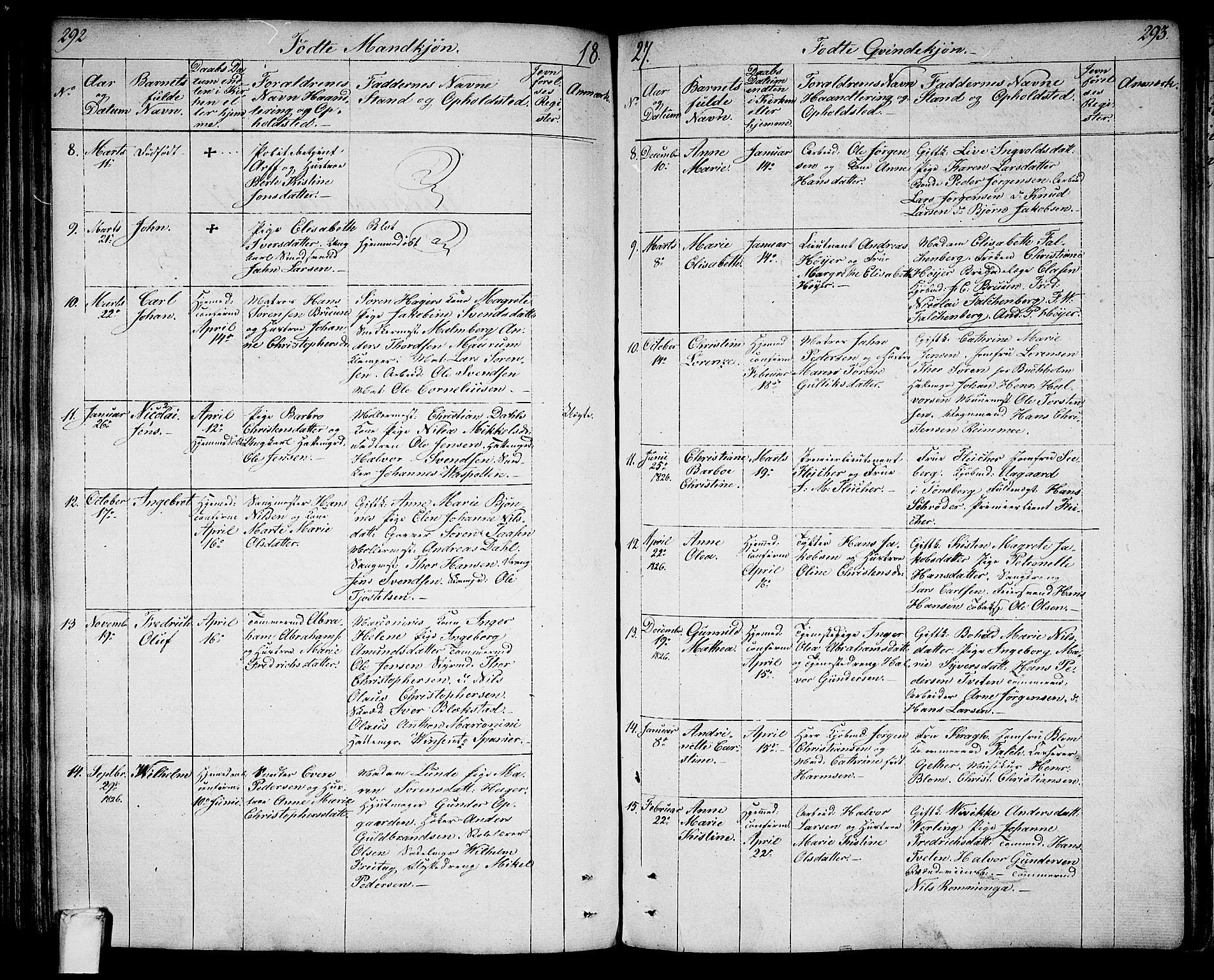 Larvik kirkebøker, SAKO/A-352/G/Ga/L0002: Parish register (copy) no. I 2, 1807-1830, p. 292-293