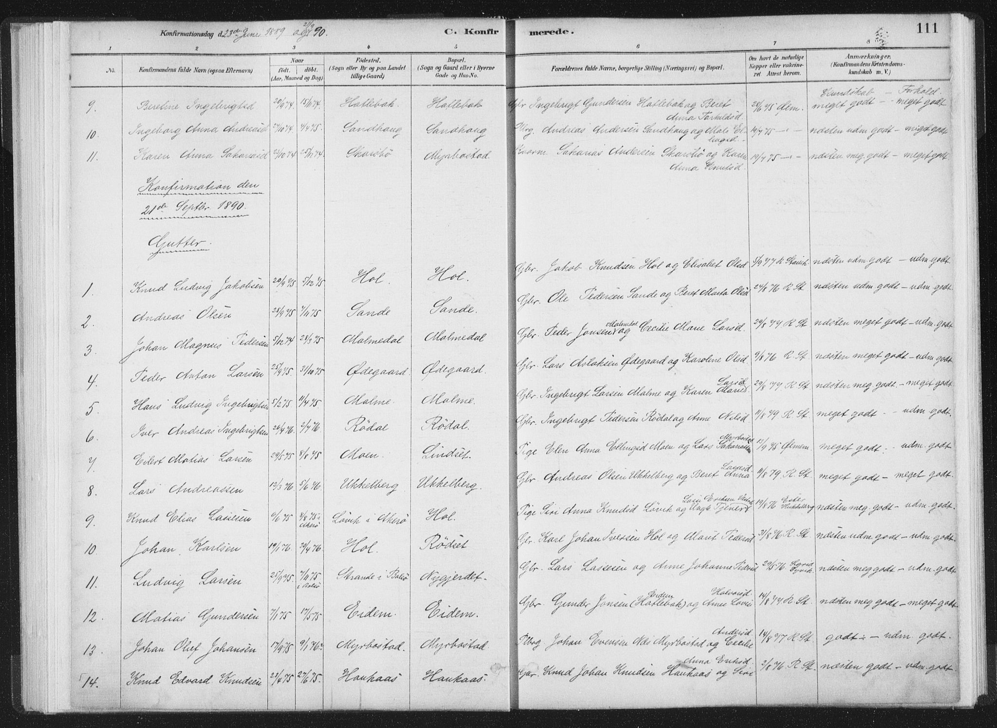 Ministerialprotokoller, klokkerbøker og fødselsregistre - Møre og Romsdal, AV/SAT-A-1454/564/L0740: Parish register (official) no. 564A01, 1880-1899, p. 111