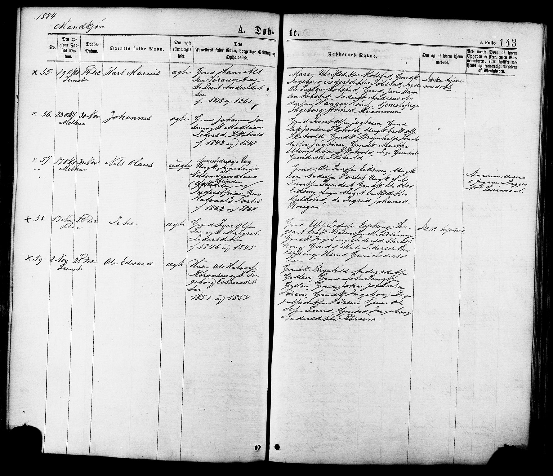 Ministerialprotokoller, klokkerbøker og fødselsregistre - Sør-Trøndelag, AV/SAT-A-1456/691/L1079: Parish register (official) no. 691A11, 1873-1886, p. 143