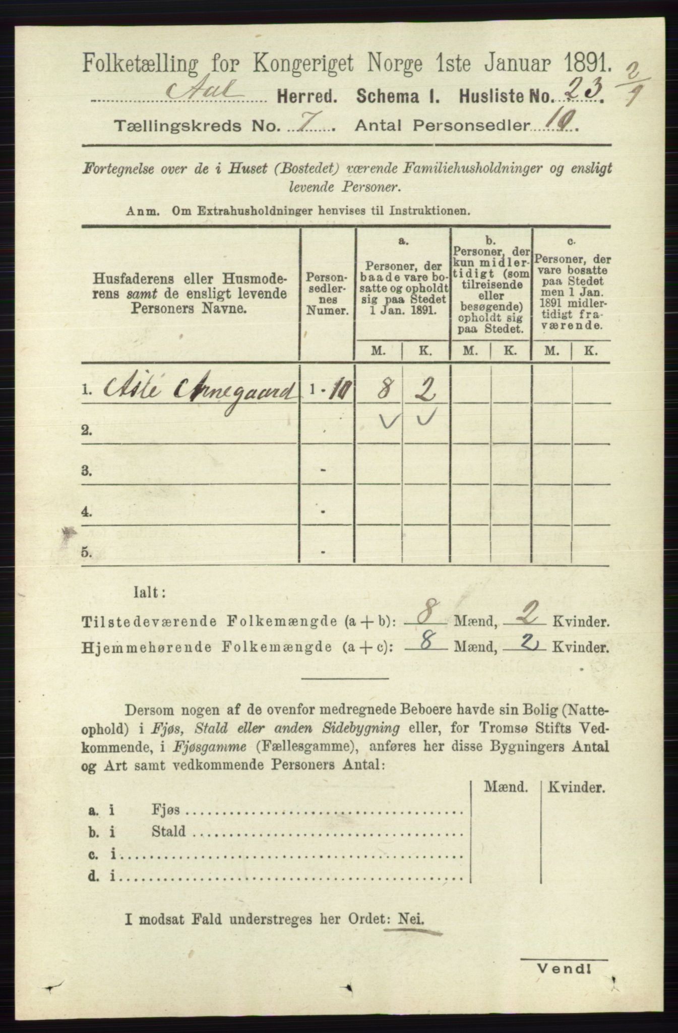 RA, 1891 census for 0619 Ål, 1891, p. 1804