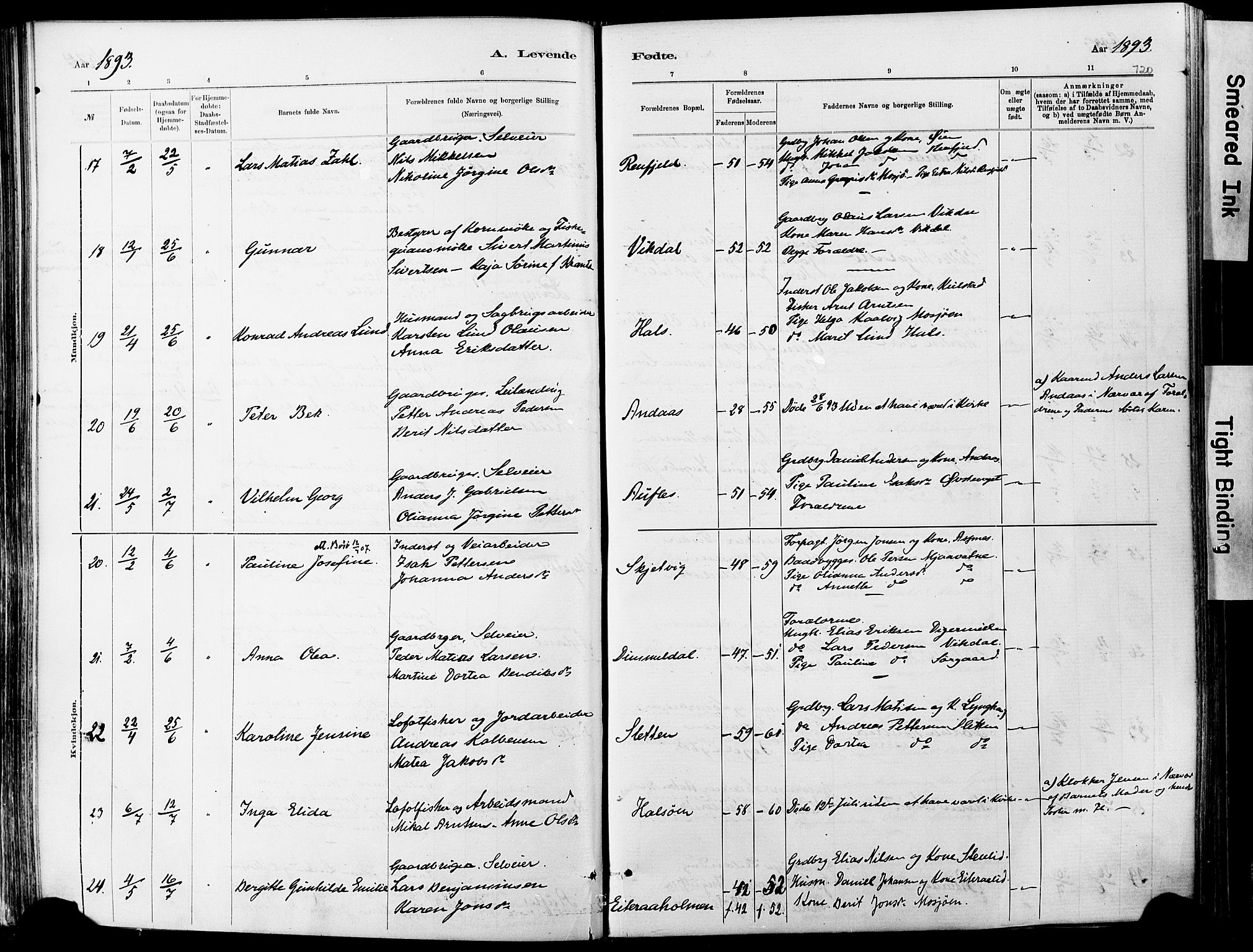 Ministerialprotokoller, klokkerbøker og fødselsregistre - Nordland, AV/SAT-A-1459/820/L0295: Parish register (official) no. 820A16, 1880-1896, p. 120