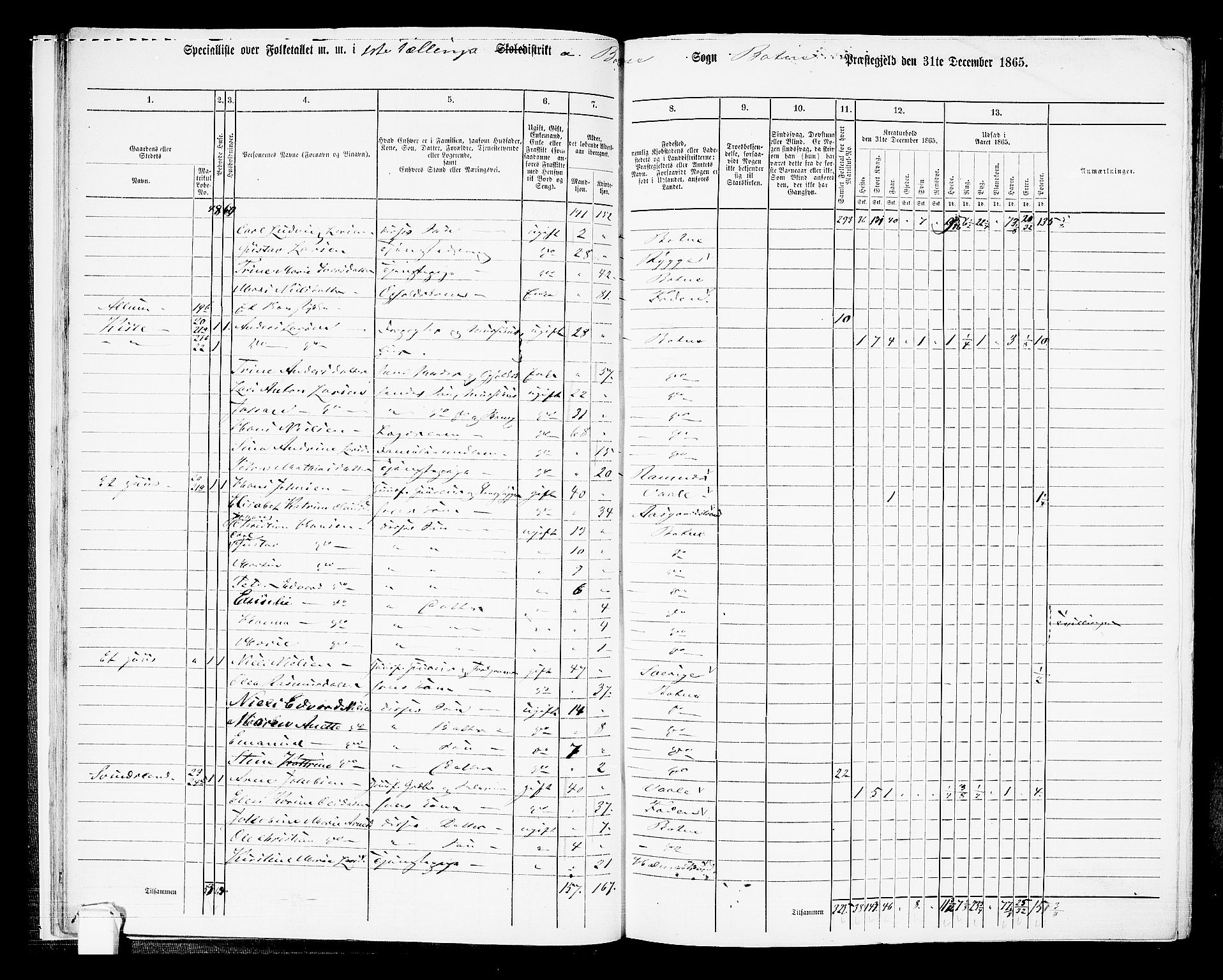 RA, 1865 census for Botne/Botne og Hillestad, 1865, p. 21