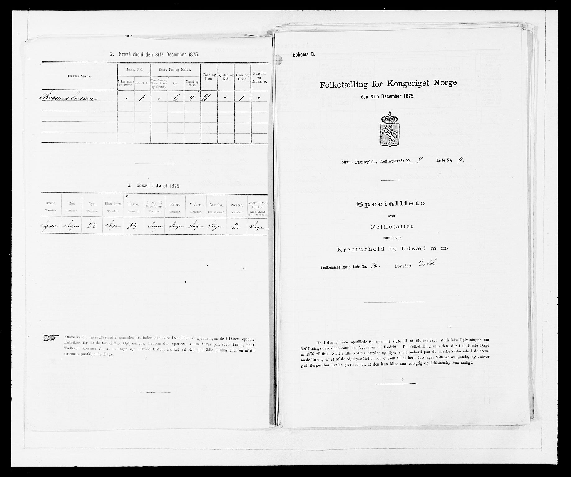 SAB, 1875 Census for 1448P Stryn, 1875, p. 553