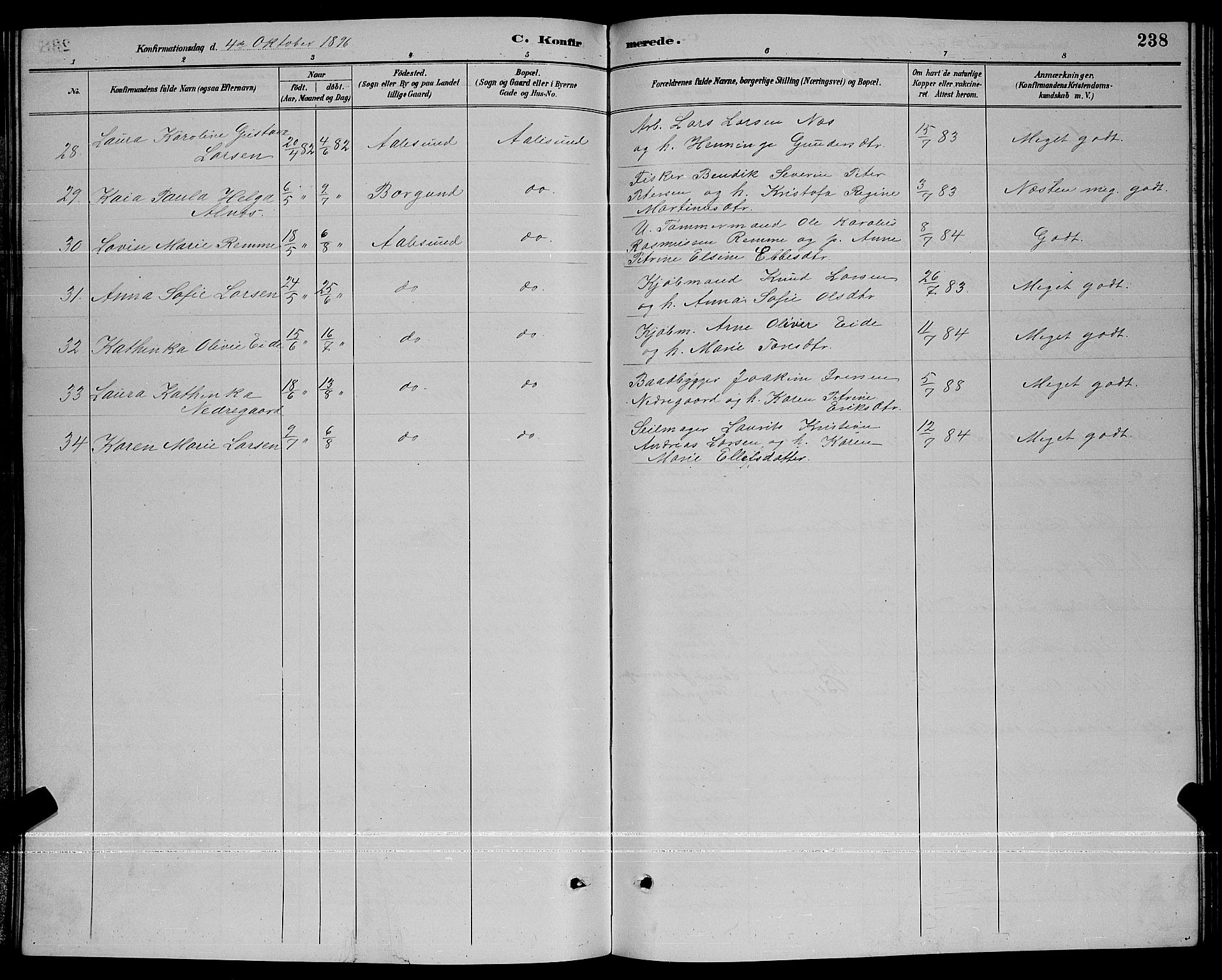 Ministerialprotokoller, klokkerbøker og fødselsregistre - Møre og Romsdal, AV/SAT-A-1454/529/L0467: Parish register (copy) no. 529C04, 1889-1897, p. 238