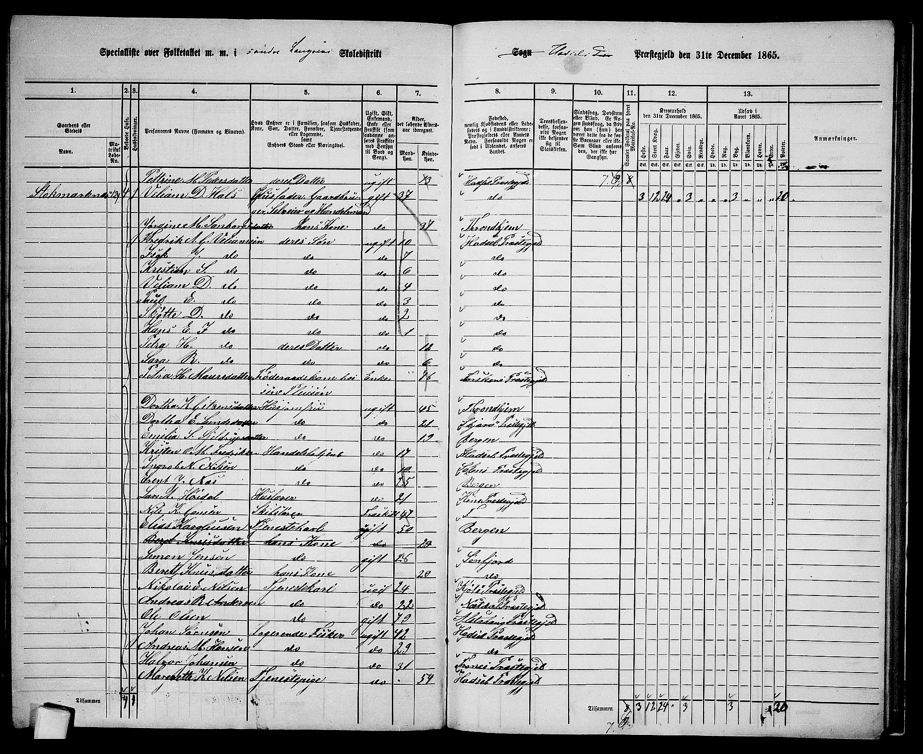 RA, 1865 census for Hadsel, 1865, p. 157