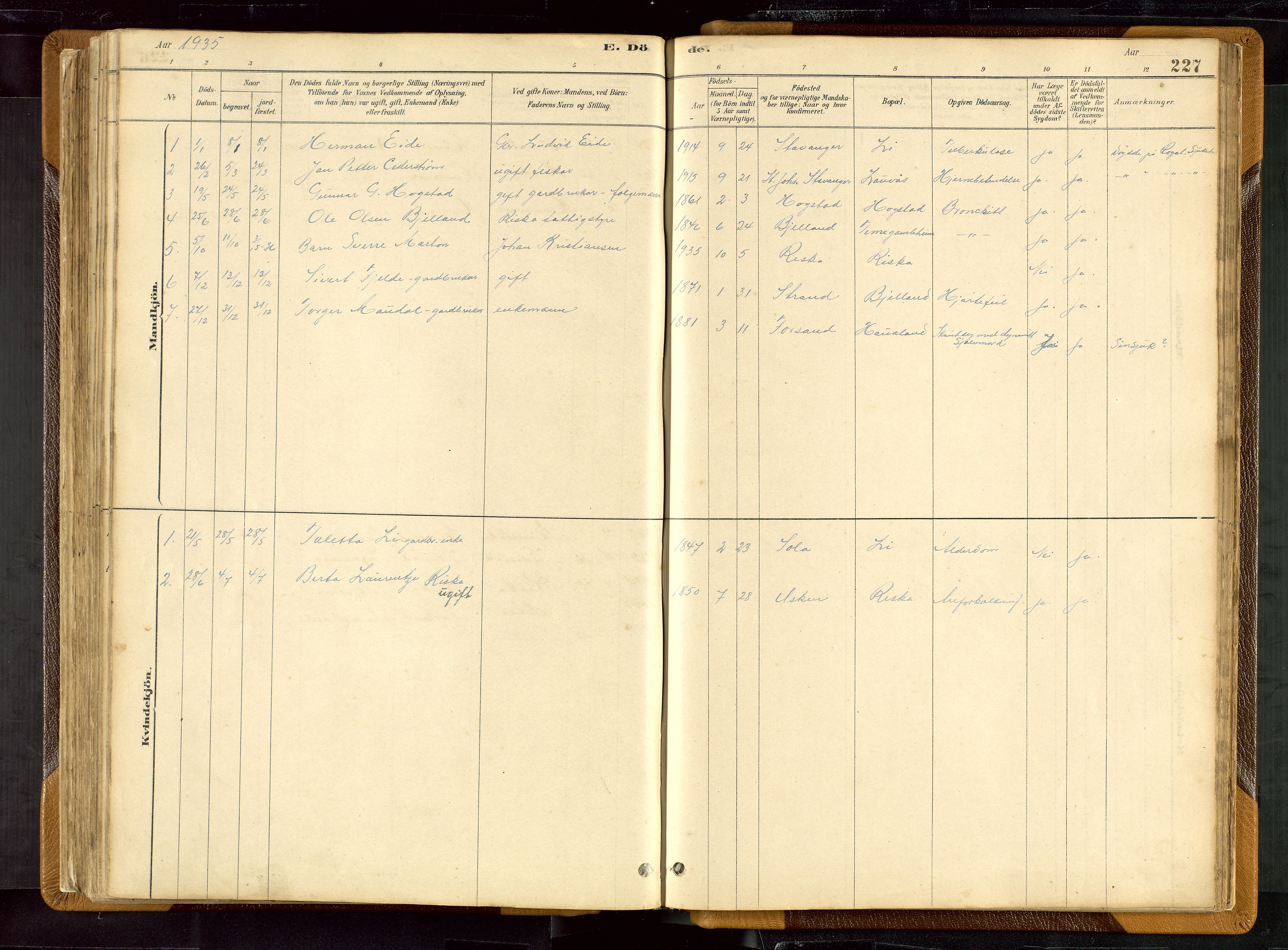 Hetland sokneprestkontor, SAST/A-101826/30/30BB/L0007: Parish register (copy) no. B 7, 1878-1910, p. 227