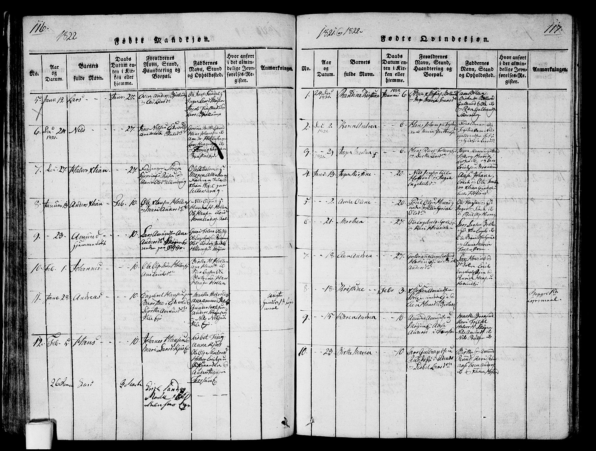 Nes prestekontor Kirkebøker, AV/SAO-A-10410/G/Ga/L0001: Parish register (copy) no. I 1, 1815-1835, p. 116-117