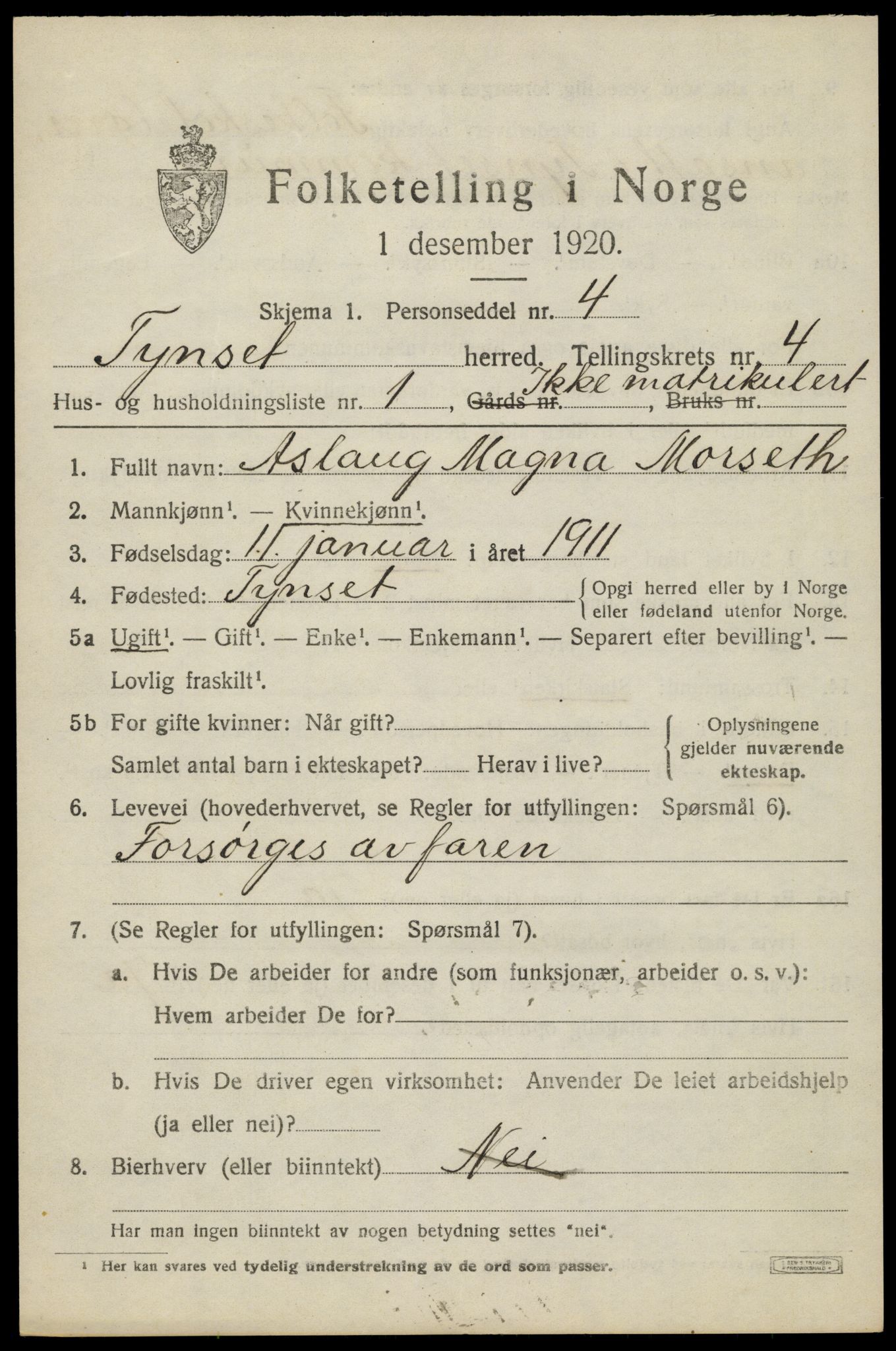 SAH, 1920 census for Tynset, 1920, p. 3182