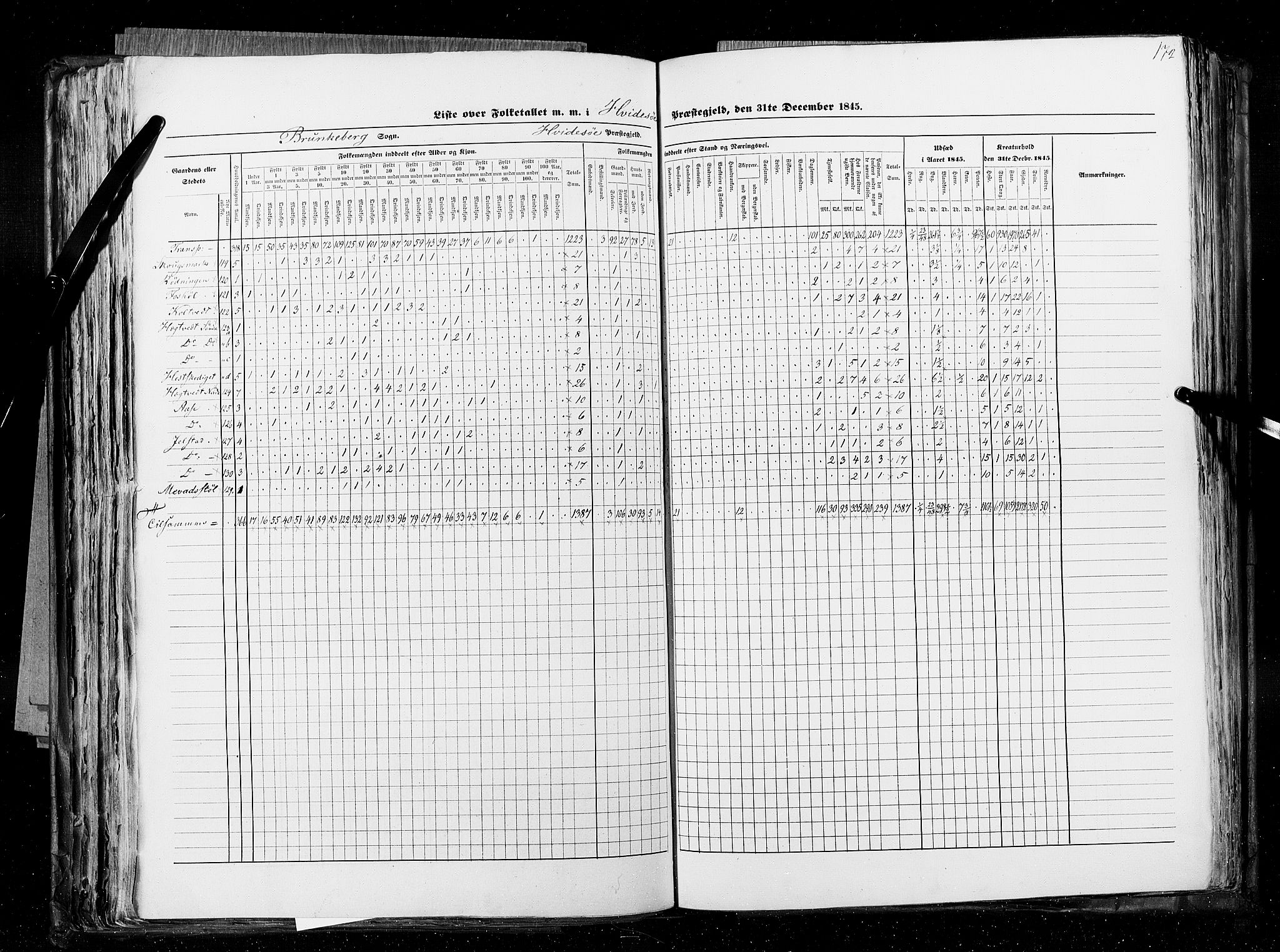 RA, Census 1845, vol. 5: Bratsberg amt og Nedenes og Råbyggelaget amt, 1845, p. 172