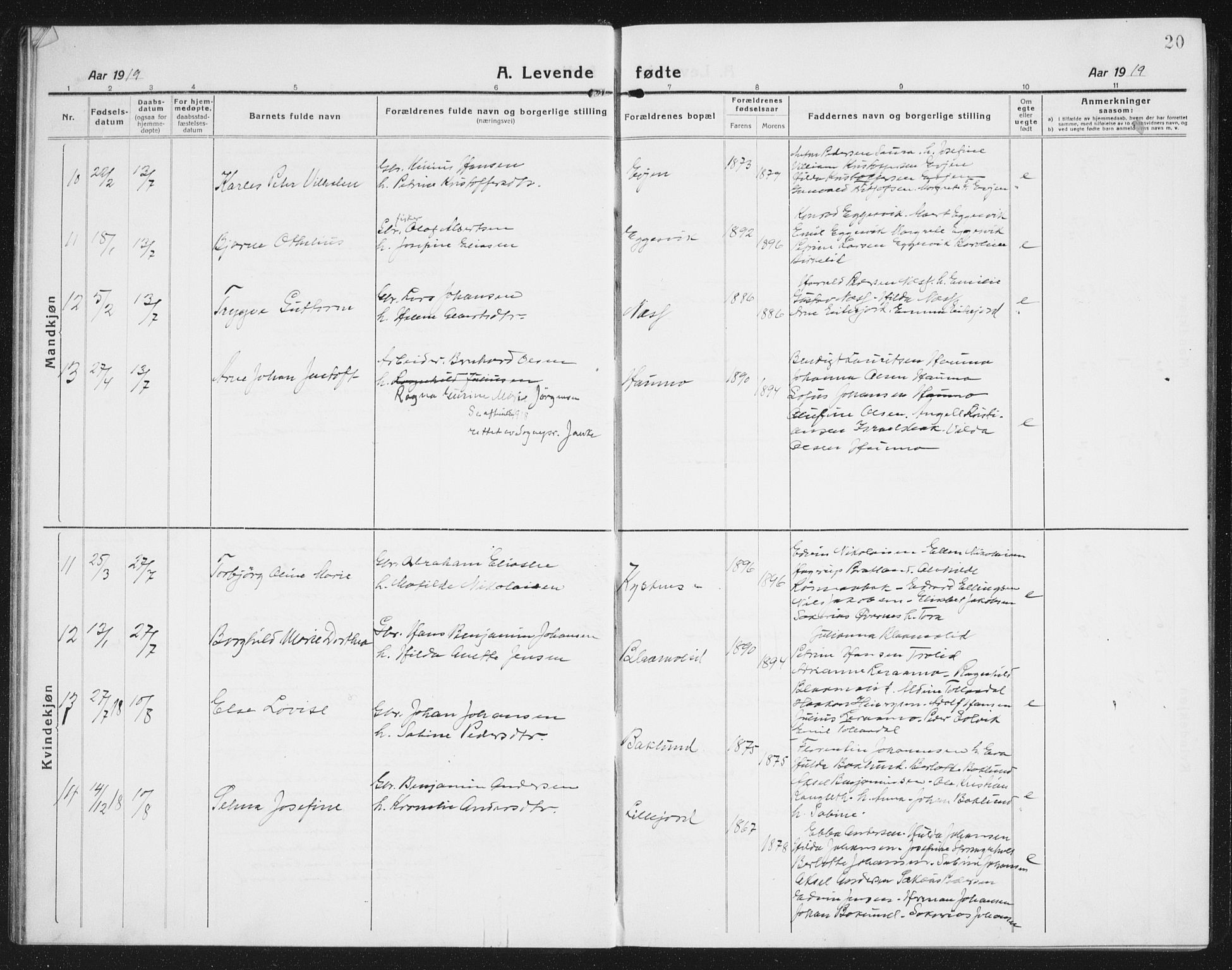 Ministerialprotokoller, klokkerbøker og fødselsregistre - Nordland, AV/SAT-A-1459/846/L0656: Parish register (copy) no. 846C06, 1917-1936, p. 20