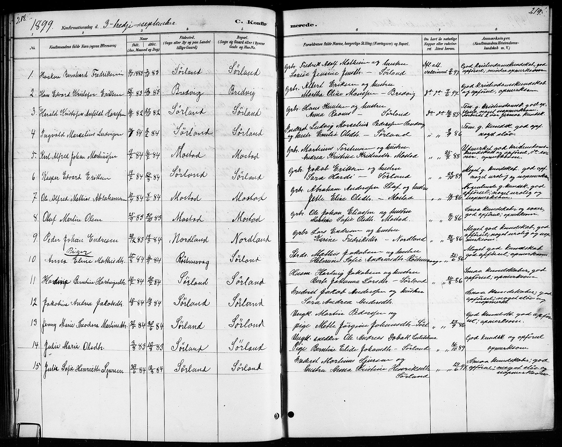 Ministerialprotokoller, klokkerbøker og fødselsregistre - Nordland, AV/SAT-A-1459/807/L0123: Parish register (copy) no. 807C01, 1884-1910, p. 218-219