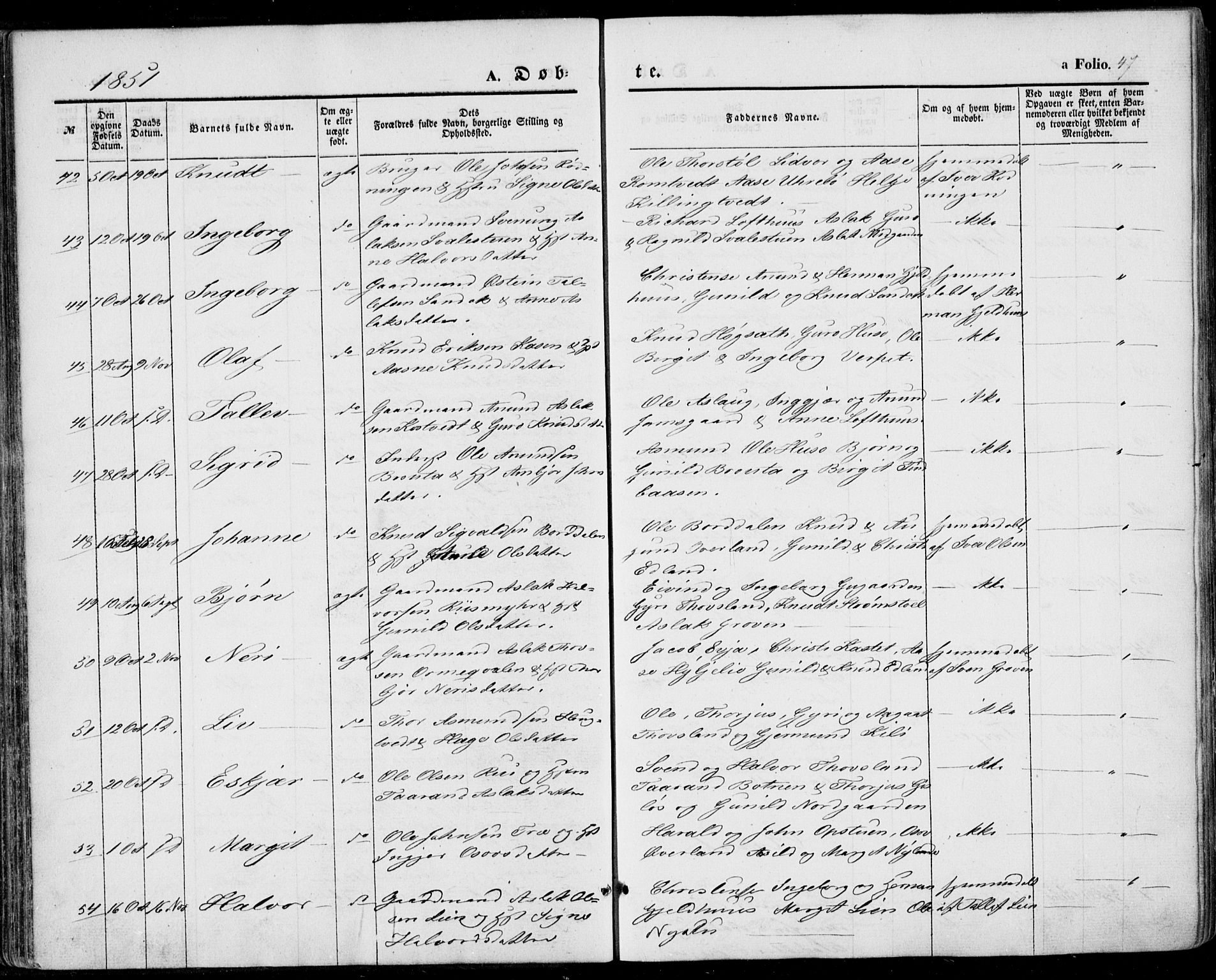 Vinje kirkebøker, AV/SAKO-A-312/F/Fa/L0004: Parish register (official) no. I 4, 1843-1869, p. 47