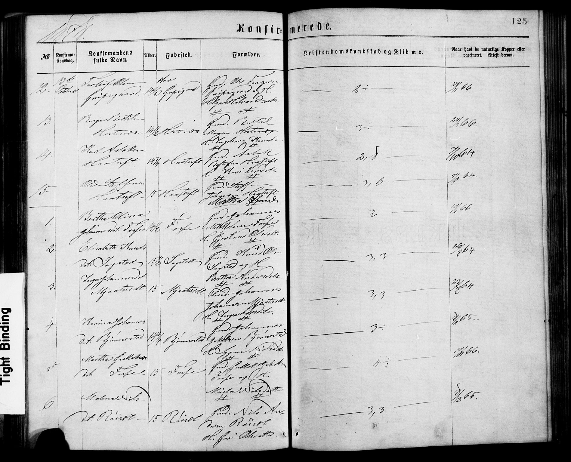 Alversund Sokneprestembete, SAB/A-73901/H/Ha/Hab: Parish register (copy) no. C 2, 1867-1880, p. 125