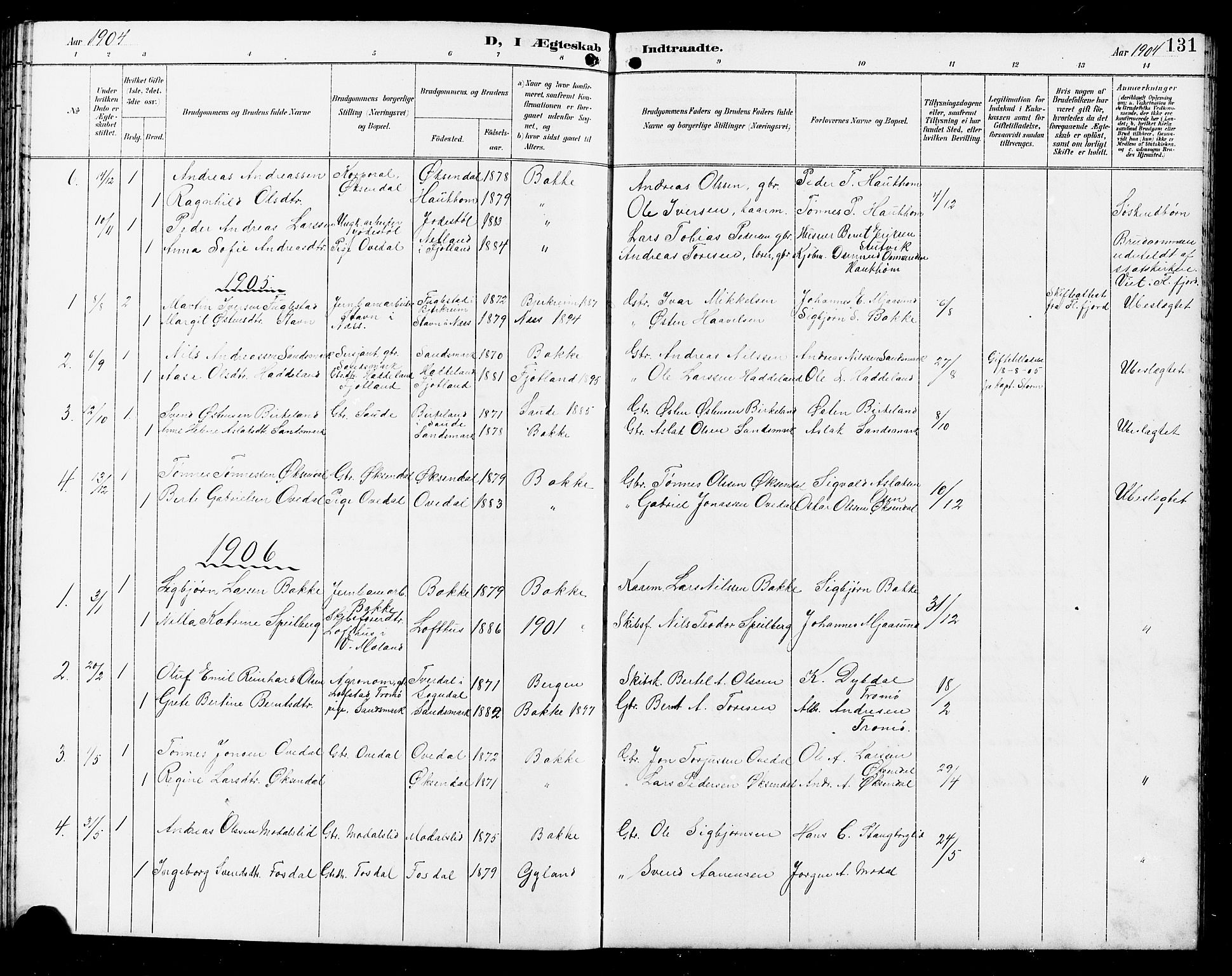 Bakke sokneprestkontor, SAK/1111-0002/F/Fb/Fba/L0003: Parish register (copy) no. B 3, 1894-1910, p. 131