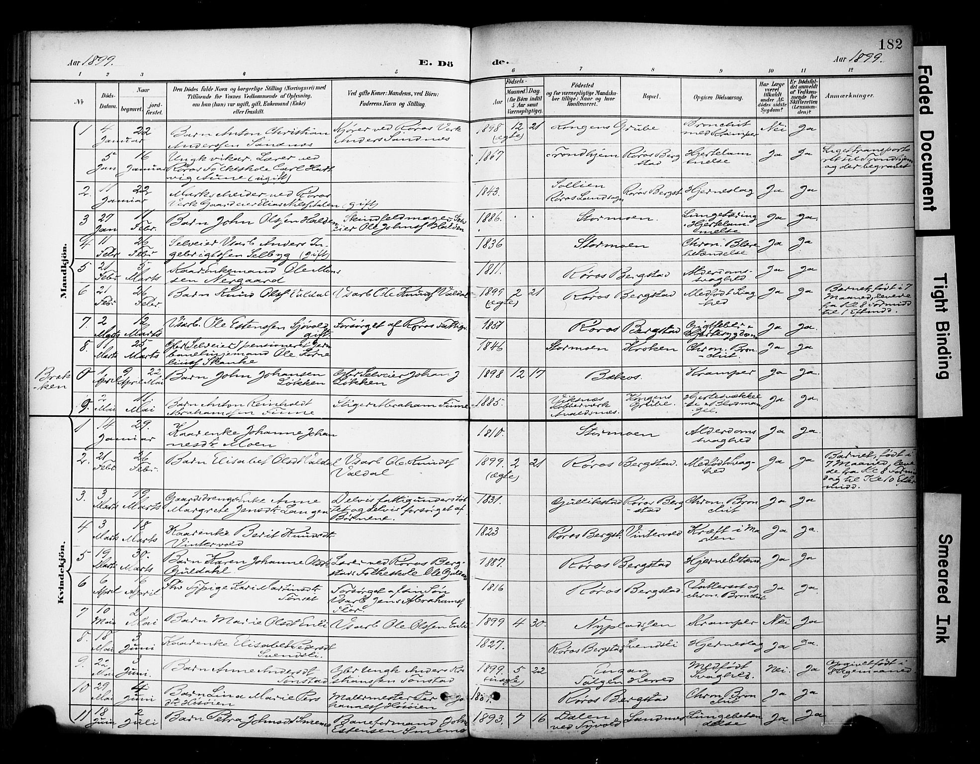 Ministerialprotokoller, klokkerbøker og fødselsregistre - Sør-Trøndelag, SAT/A-1456/681/L0936: Parish register (official) no. 681A14, 1899-1908, p. 182
