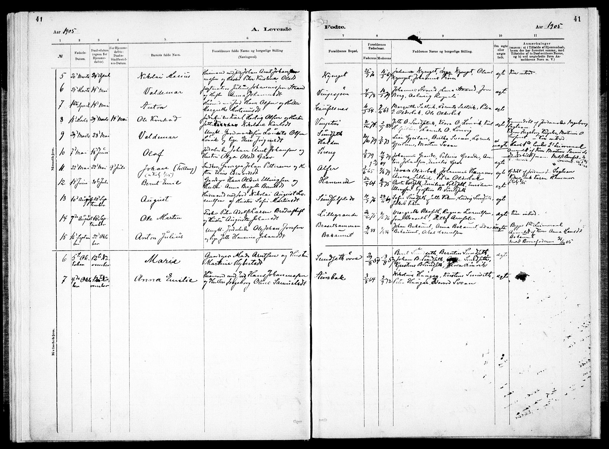 Ministerialprotokoller, klokkerbøker og fødselsregistre - Nord-Trøndelag, AV/SAT-A-1458/733/L0325: Parish register (official) no. 733A04, 1884-1908, p. 41