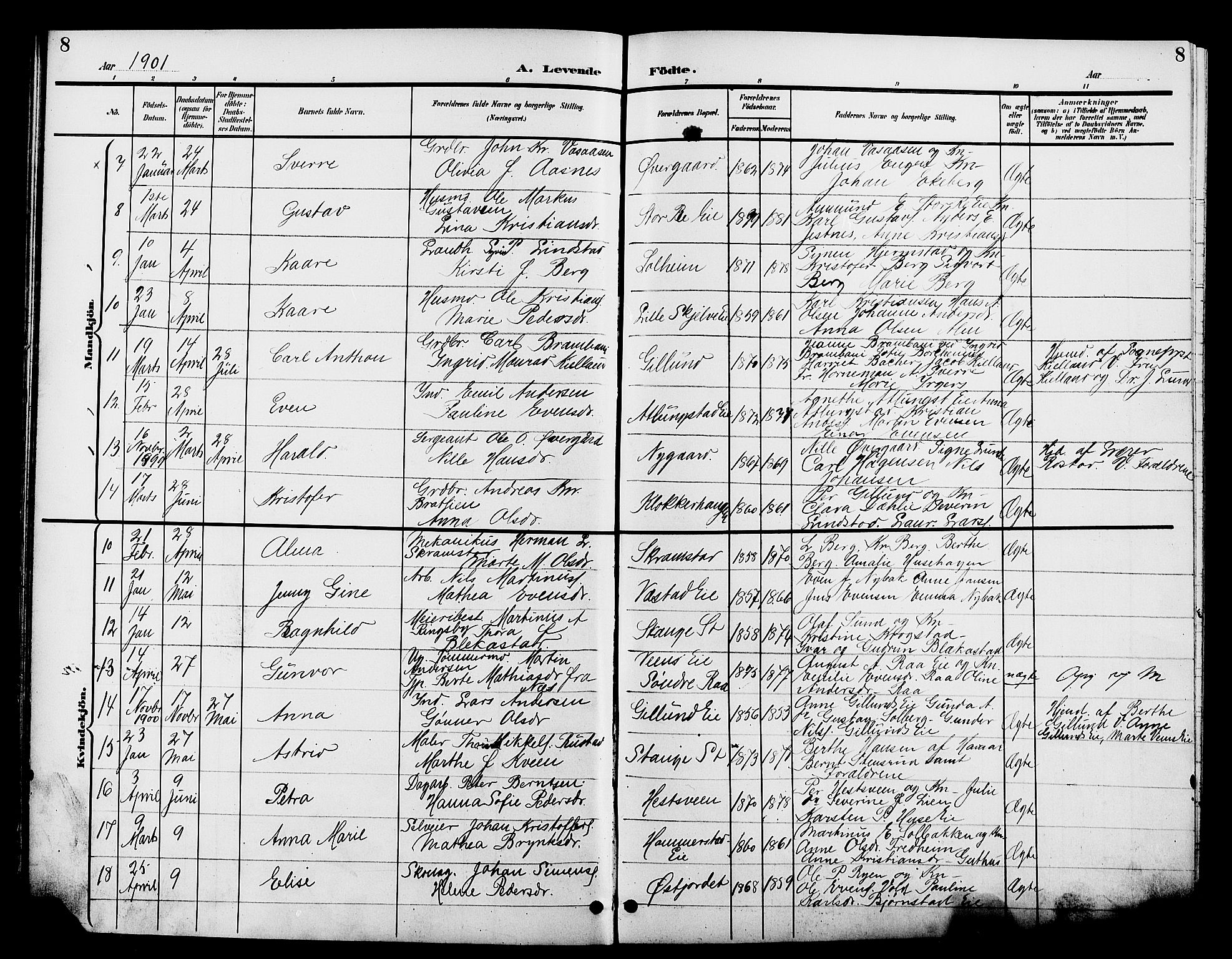 Stange prestekontor, AV/SAH-PREST-002/L/L0012: Parish register (copy) no. 12, 1900-1908, p. 8