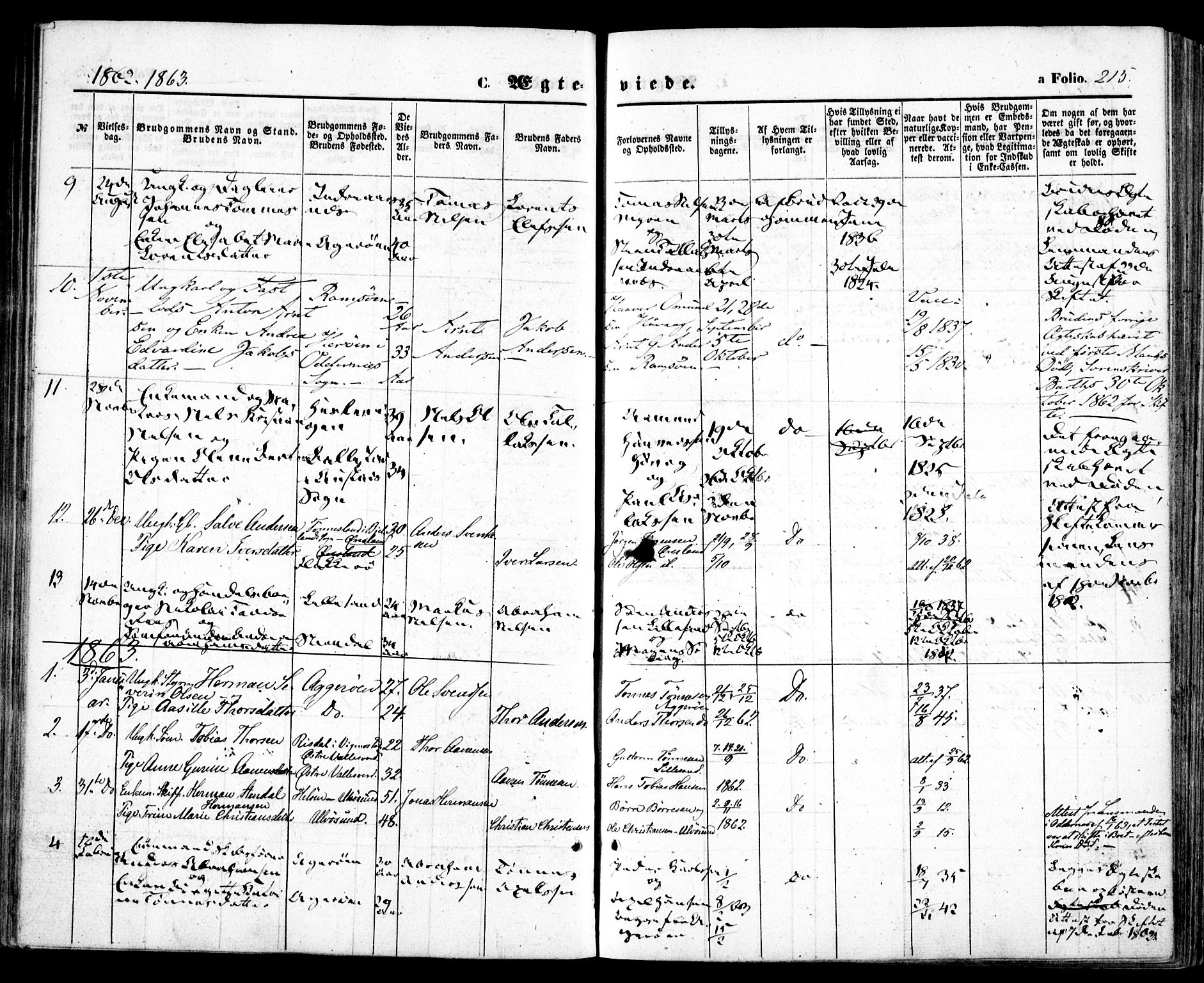 Høvåg sokneprestkontor, AV/SAK-1111-0025/F/Fa/L0004: Parish register (official) no. A 4, 1859-1877, p. 215