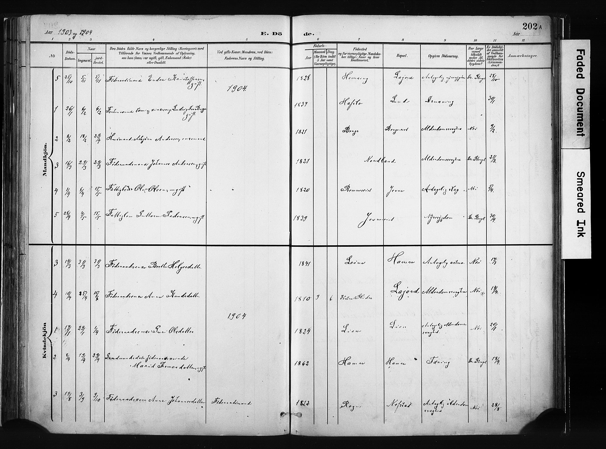 Vang prestekontor, Valdres, SAH/PREST-140/H/Ha/L0008: Parish register (official) no. 8, 1882-1910, p. 202