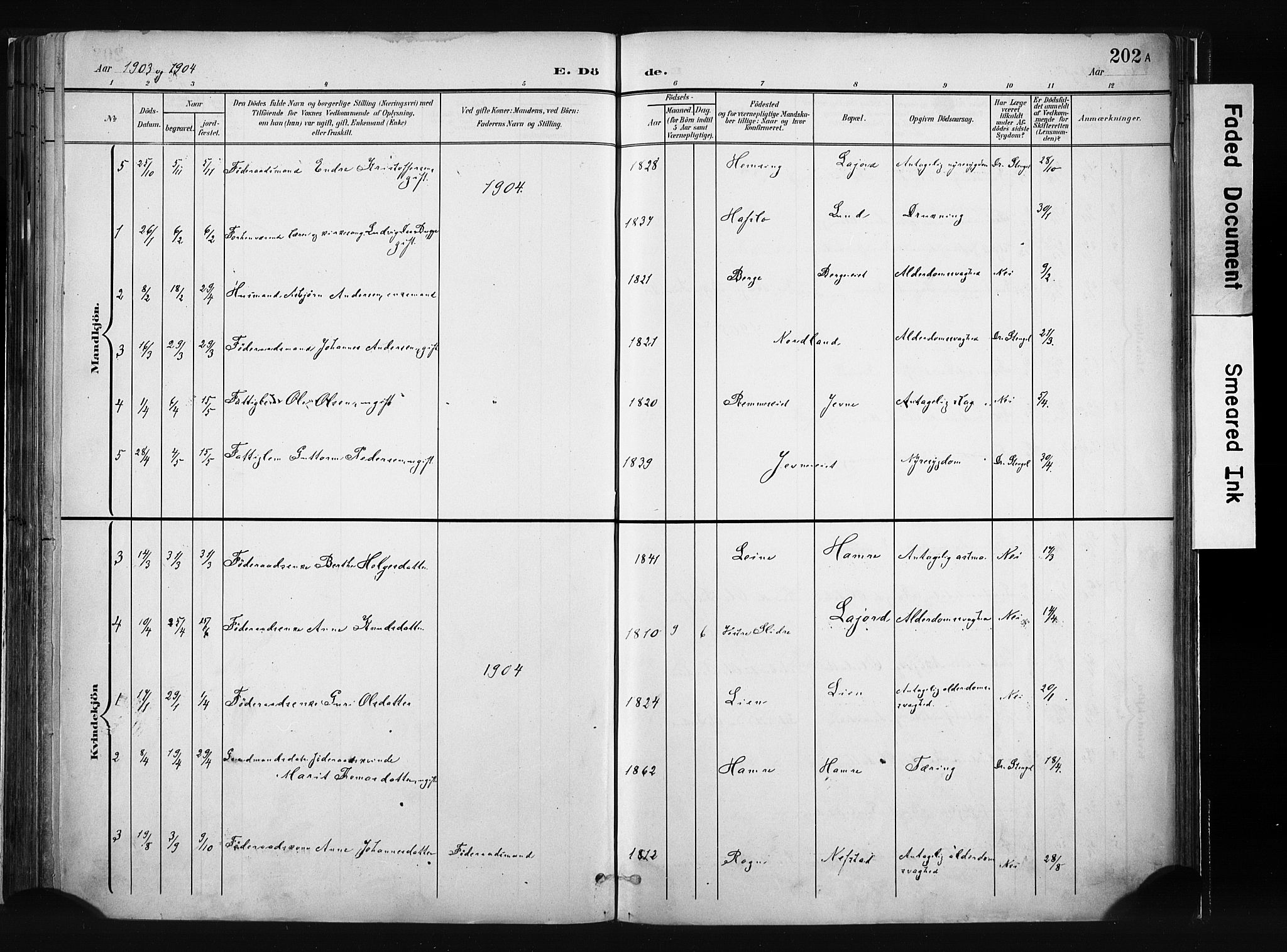 Vang prestekontor, Valdres, AV/SAH-PREST-140/H/Ha/L0008: Parish register (official) no. 8, 1882-1910, p. 202