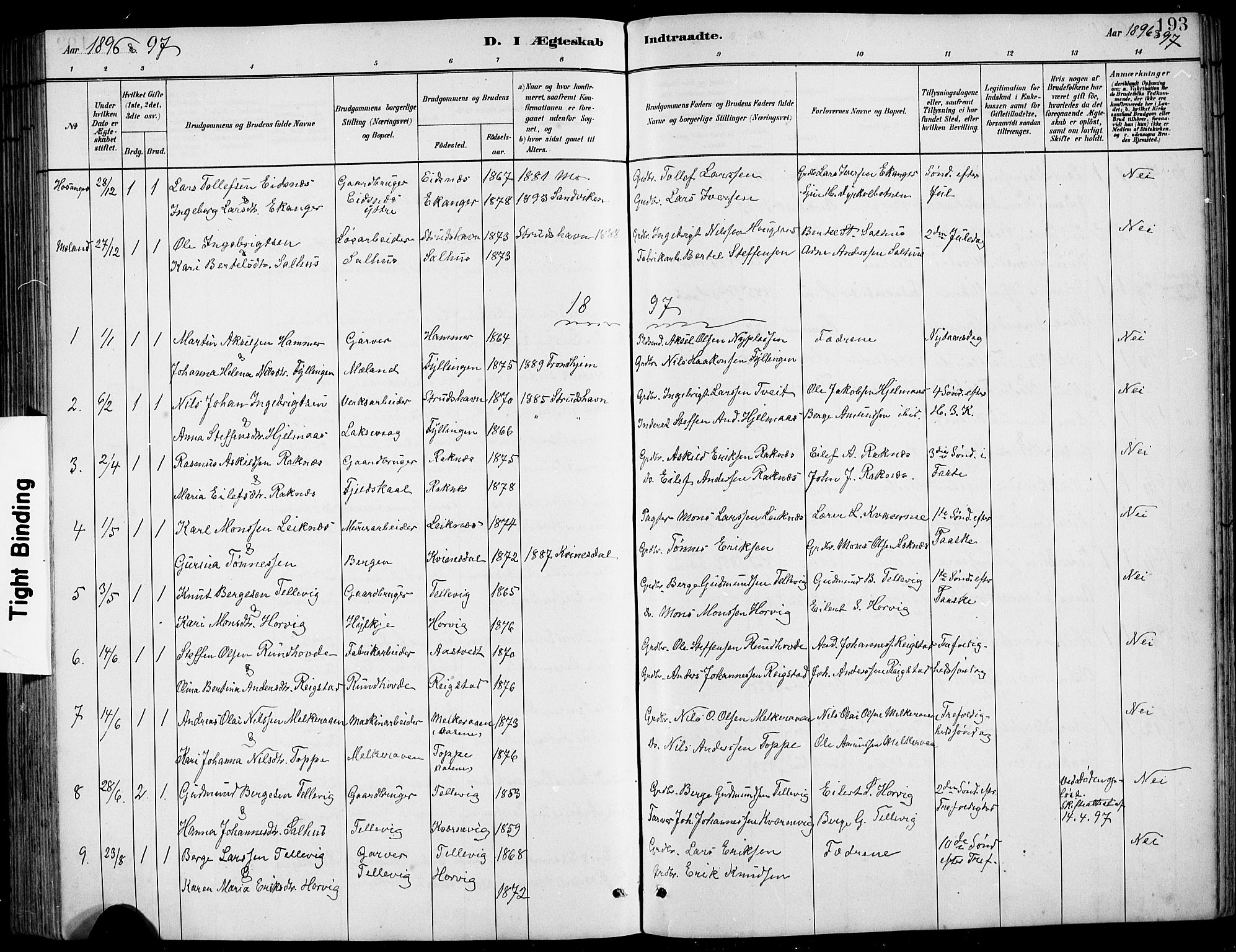 Hamre sokneprestembete, SAB/A-75501/H/Ha/Hab: Parish register (copy) no. B 3, 1881-1898, p. 193