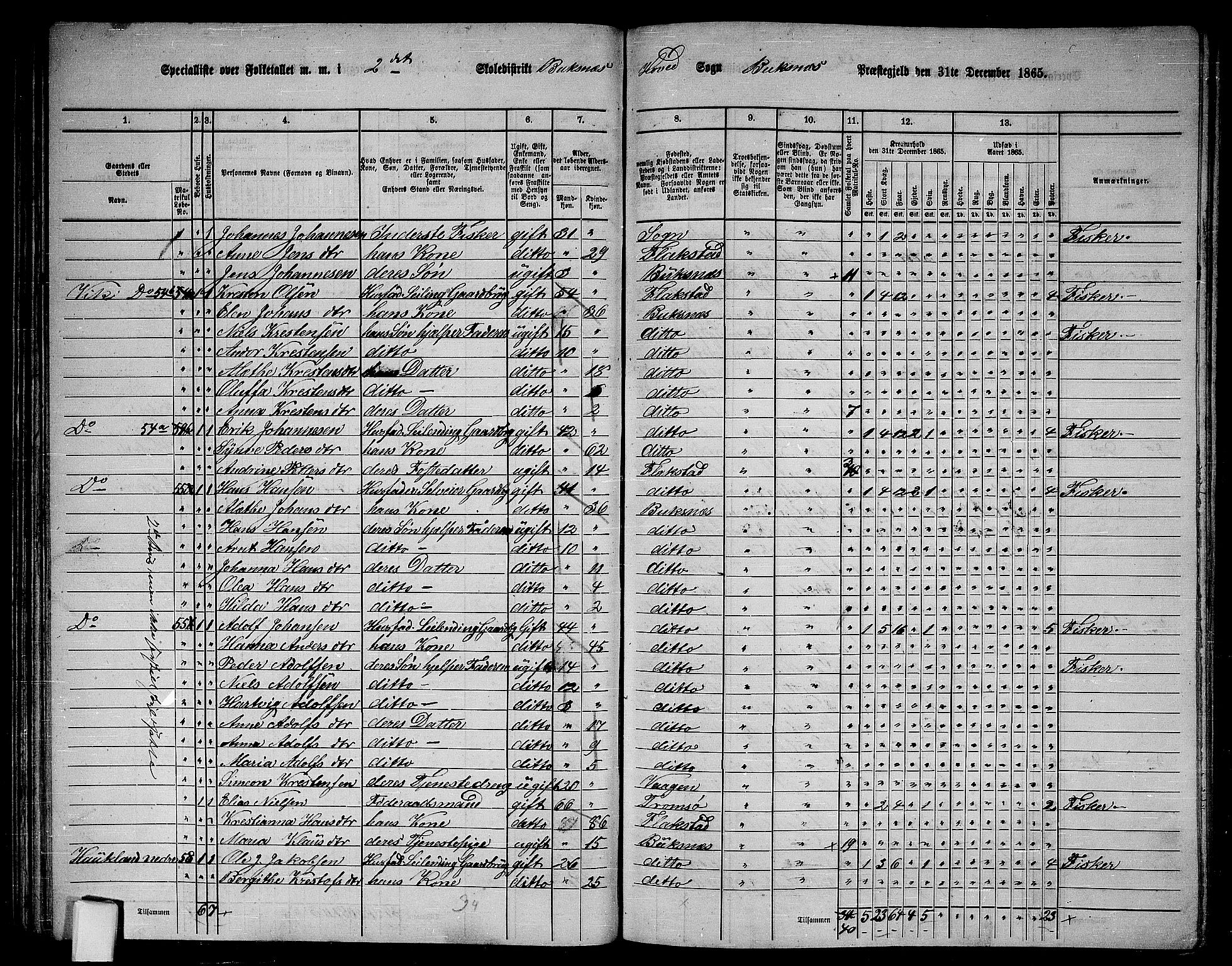 RA, 1865 census for Buksnes, 1865, p. 45