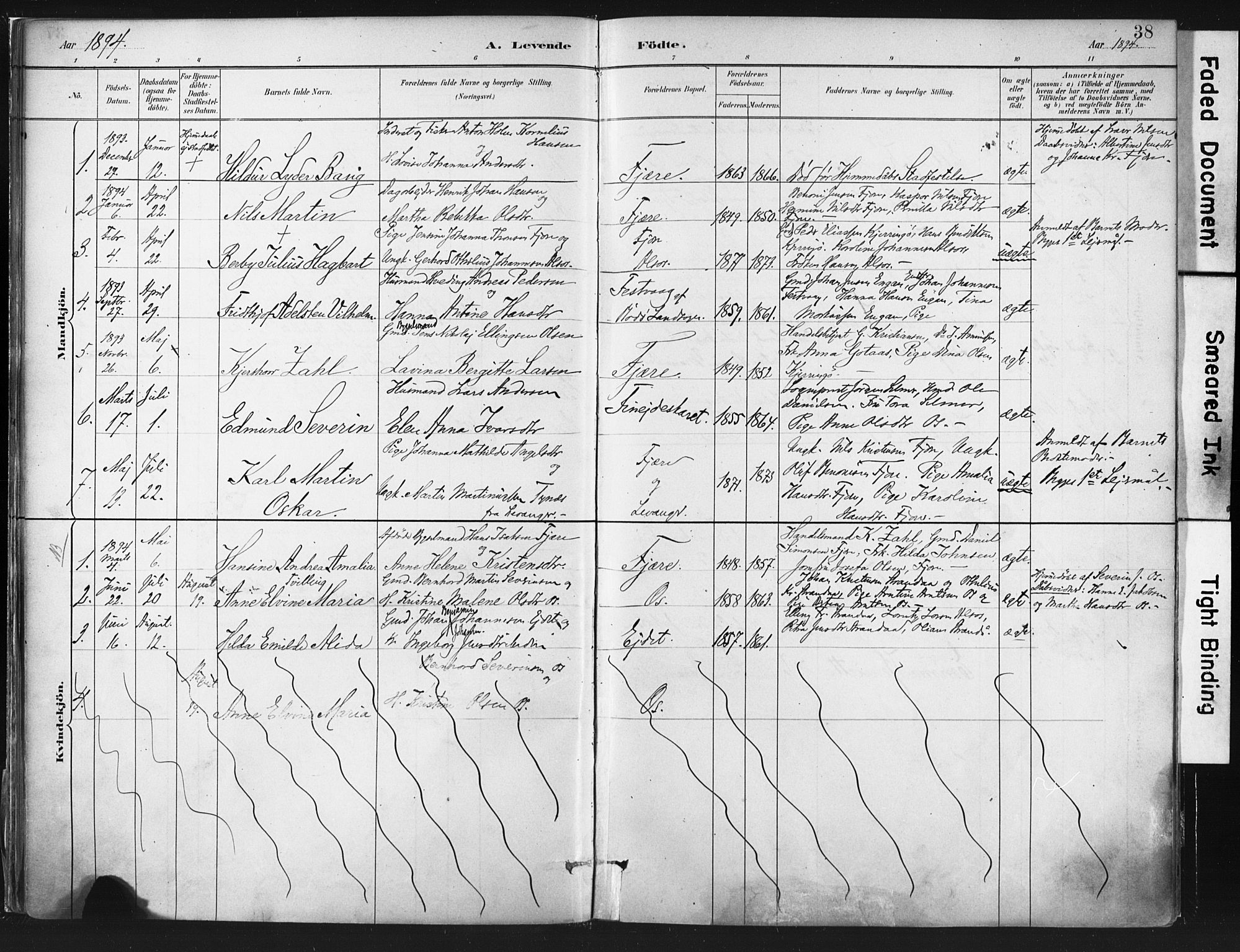Ministerialprotokoller, klokkerbøker og fødselsregistre - Nordland, SAT/A-1459/803/L0071: Parish register (official) no. 803A01, 1881-1897, p. 38
