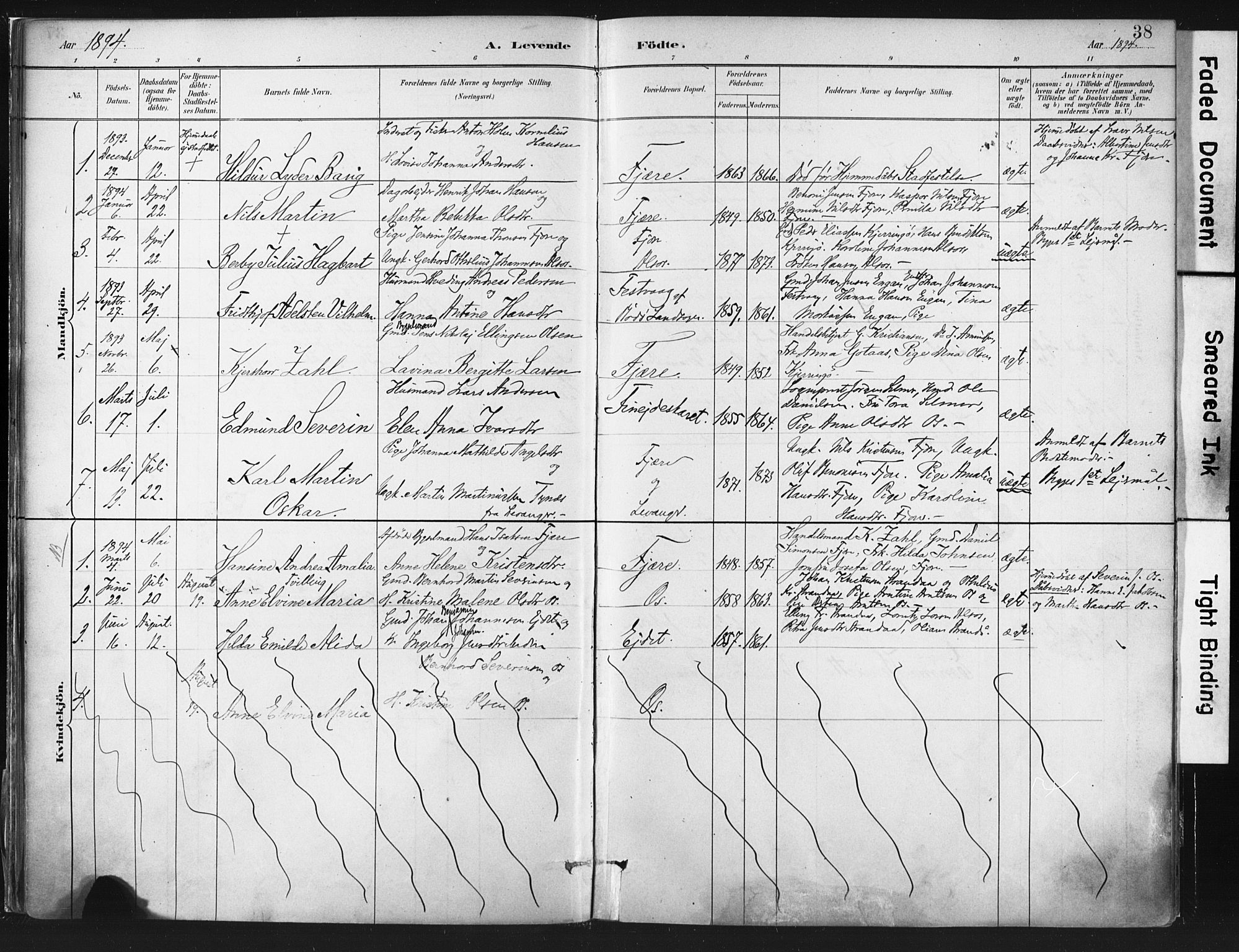 Ministerialprotokoller, klokkerbøker og fødselsregistre - Nordland, AV/SAT-A-1459/803/L0071: Parish register (official) no. 803A01, 1881-1897, p. 38