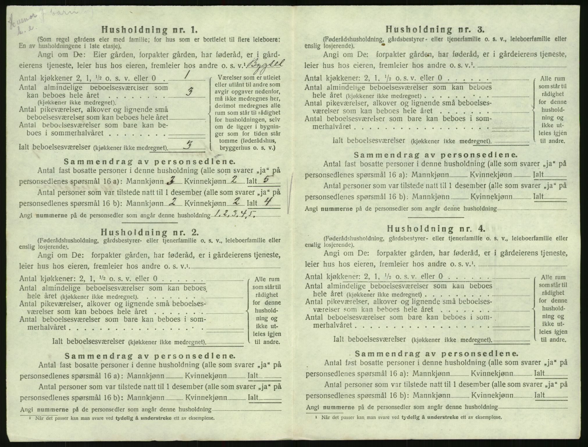 SAK, 1920 census for Hornnes, 1920, p. 352