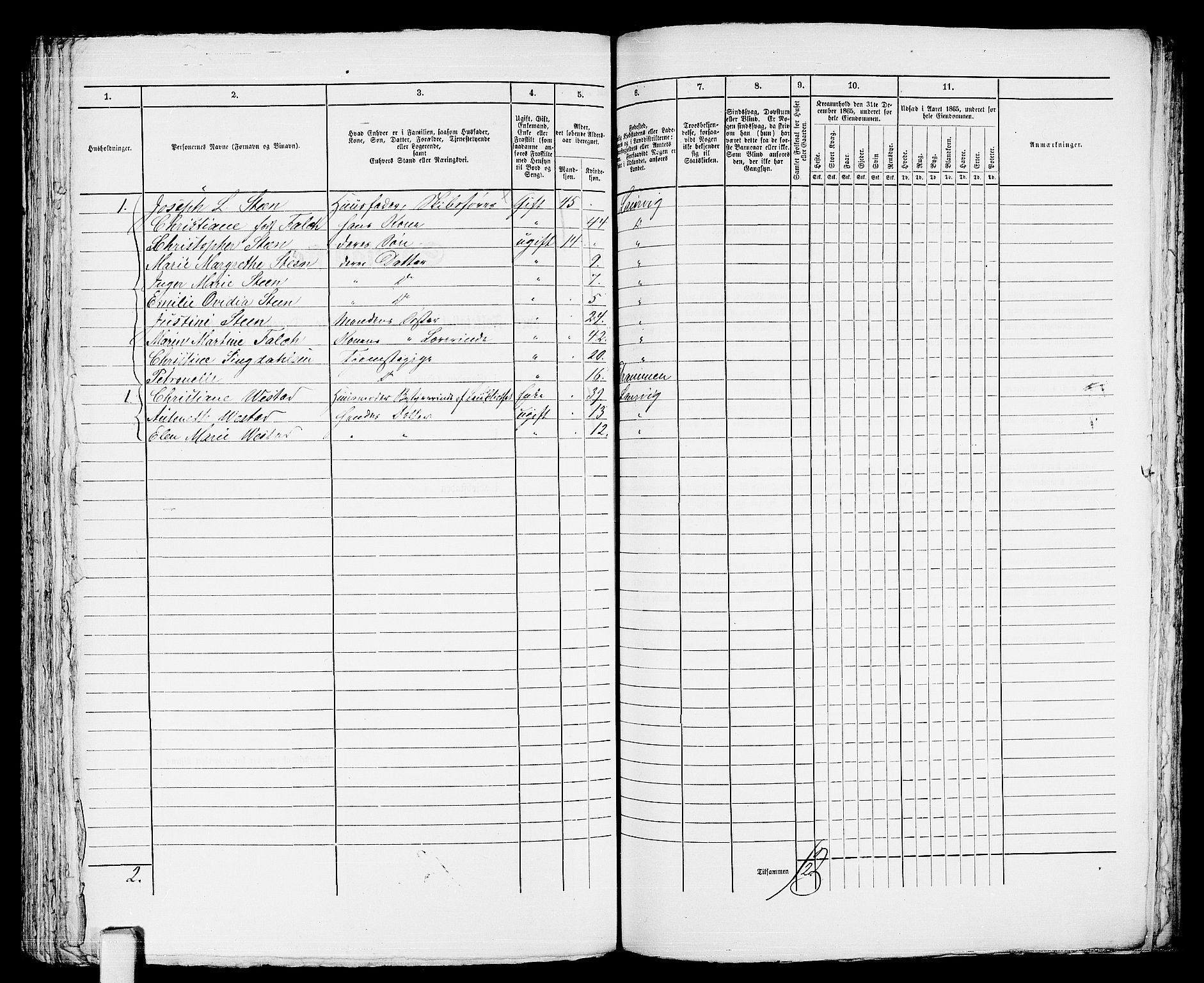 RA, 1865 census for Larvik, 1865, p. 448