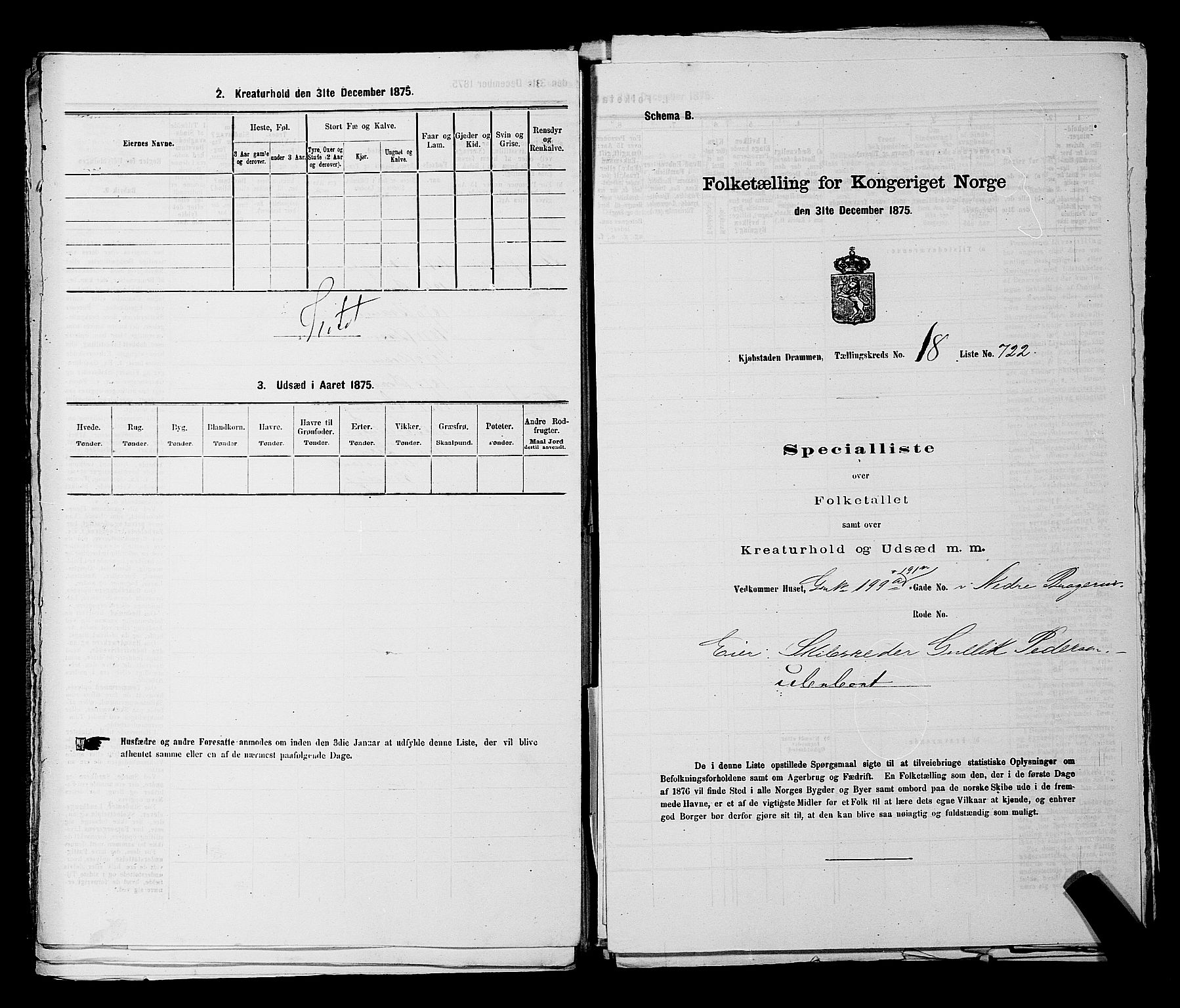 SAKO, 1875 census for 0602 Drammen, 1875, p. 2013