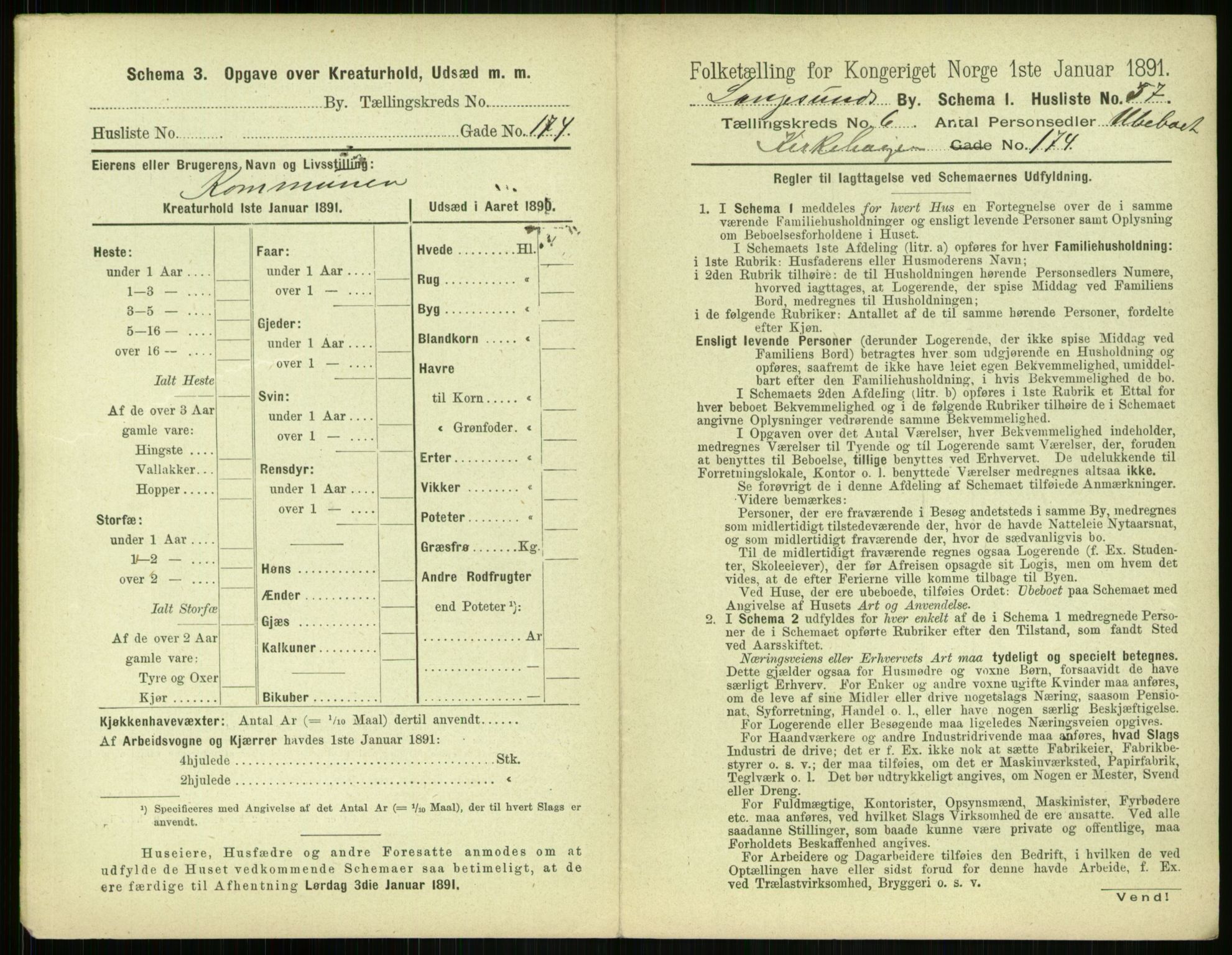 RA, 1891 census for 0802 Langesund, 1891, p. 496