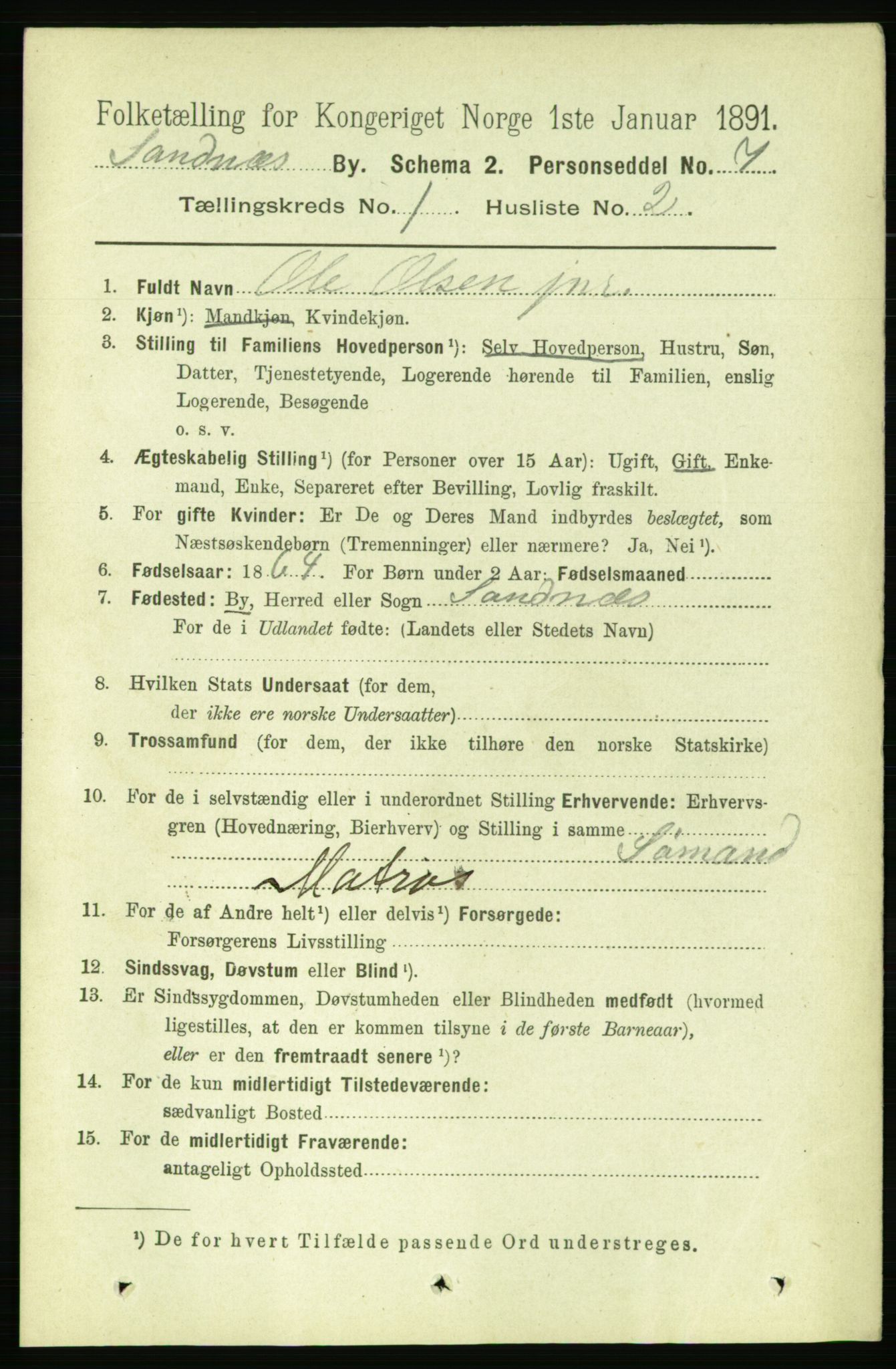 RA, 1891 census for 1102 Sandnes, 1891, p. 491