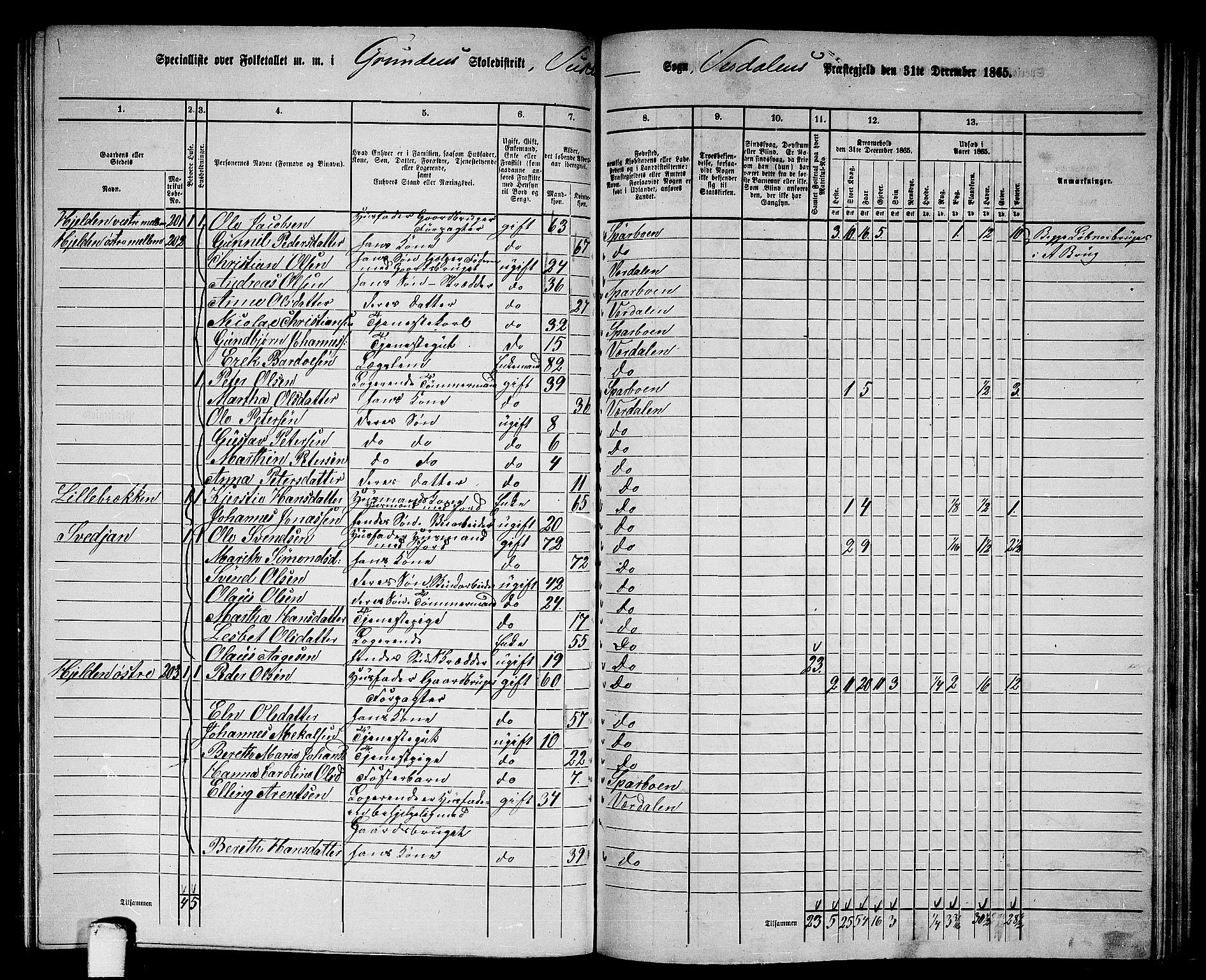 RA, 1865 census for Verdal, 1865, p. 217