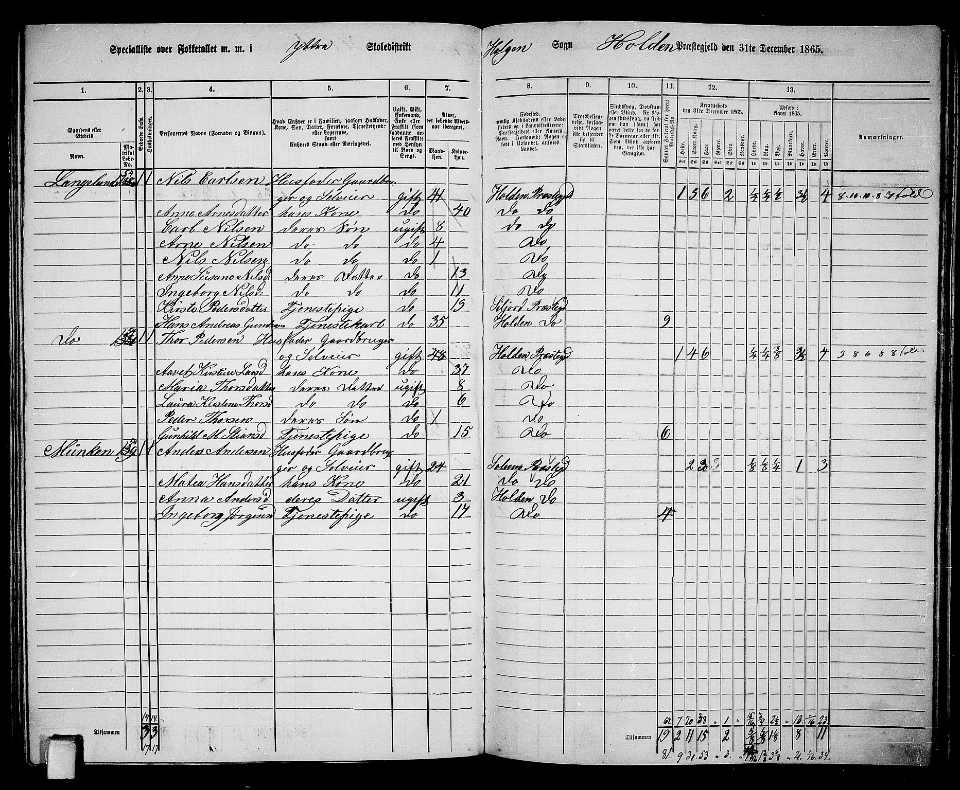 RA, 1865 census for Holla, 1865, p. 117