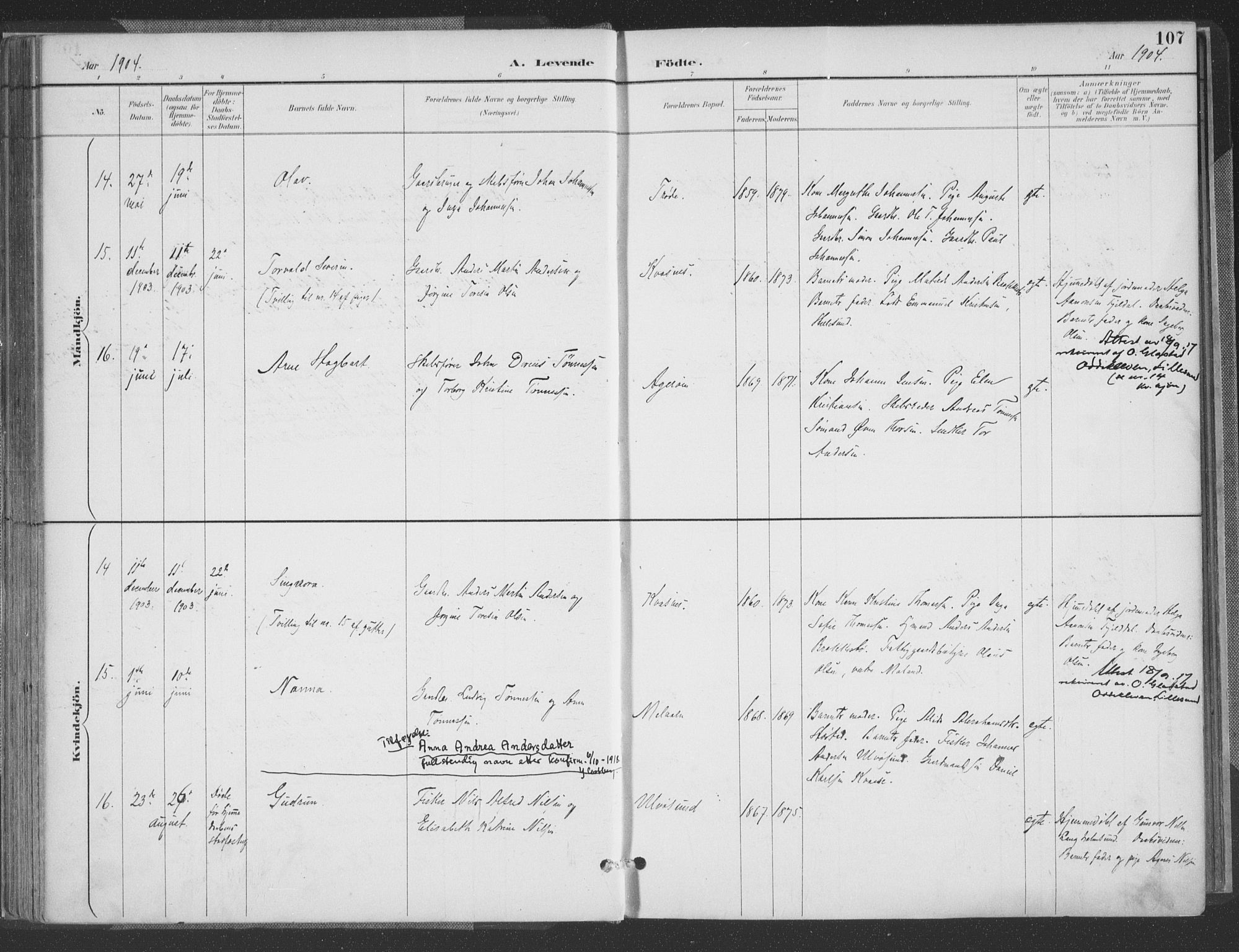 Høvåg sokneprestkontor, AV/SAK-1111-0025/F/Fa/L0006: Parish register (official) no. A 6, 1894-1923, p. 107