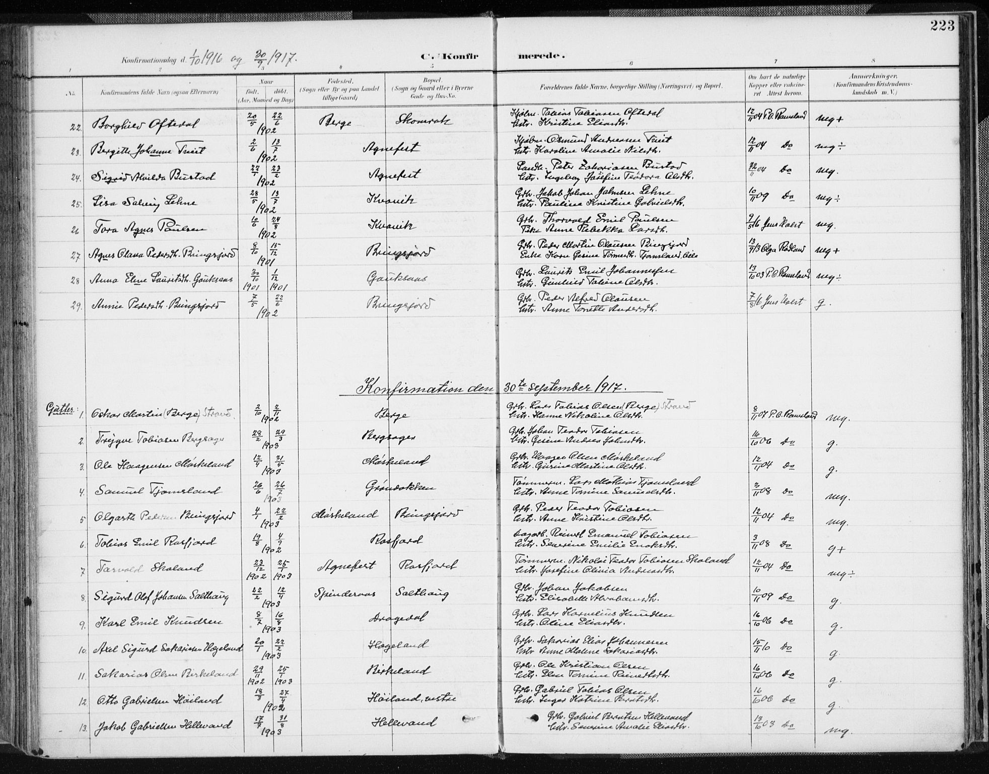 Lyngdal sokneprestkontor, AV/SAK-1111-0029/F/Fa/Fac/L0012: Parish register (official) no. A 12, 1894-1918, p. 223