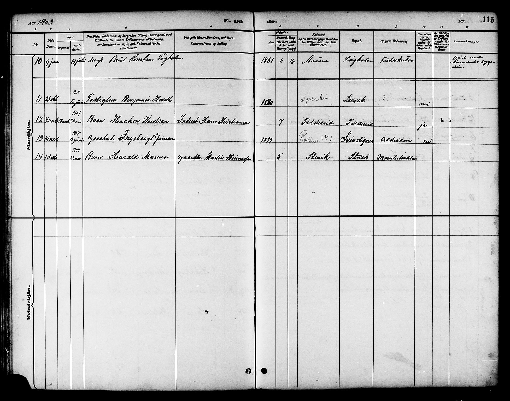 Ministerialprotokoller, klokkerbøker og fødselsregistre - Nord-Trøndelag, SAT/A-1458/783/L0662: Parish register (copy) no. 783C02, 1894-1919, p. 115